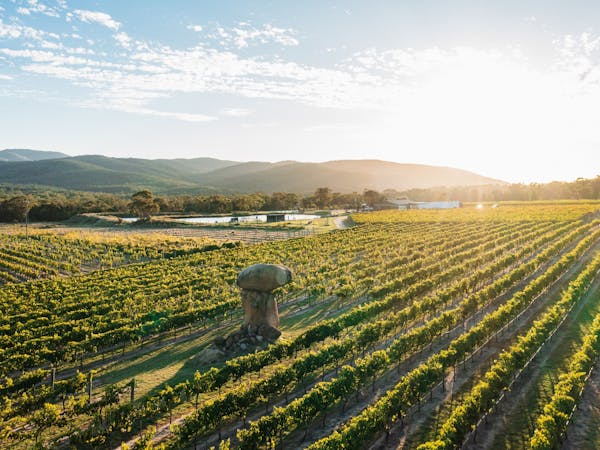 Balancing Heart Vineyard