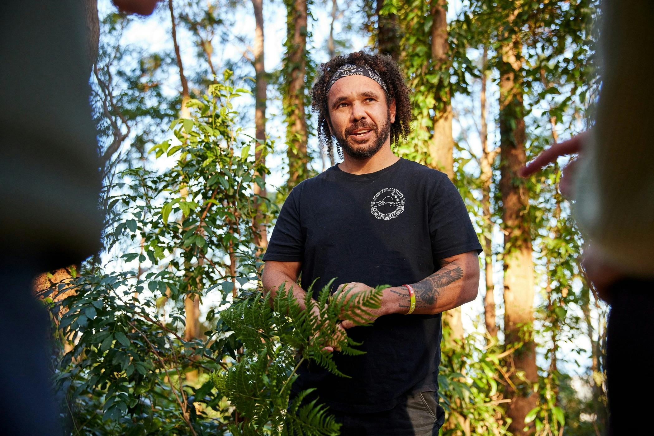 Autopia Via Travel - Giingan Gumbaynggirr Cultural Experience Sealy Lookout