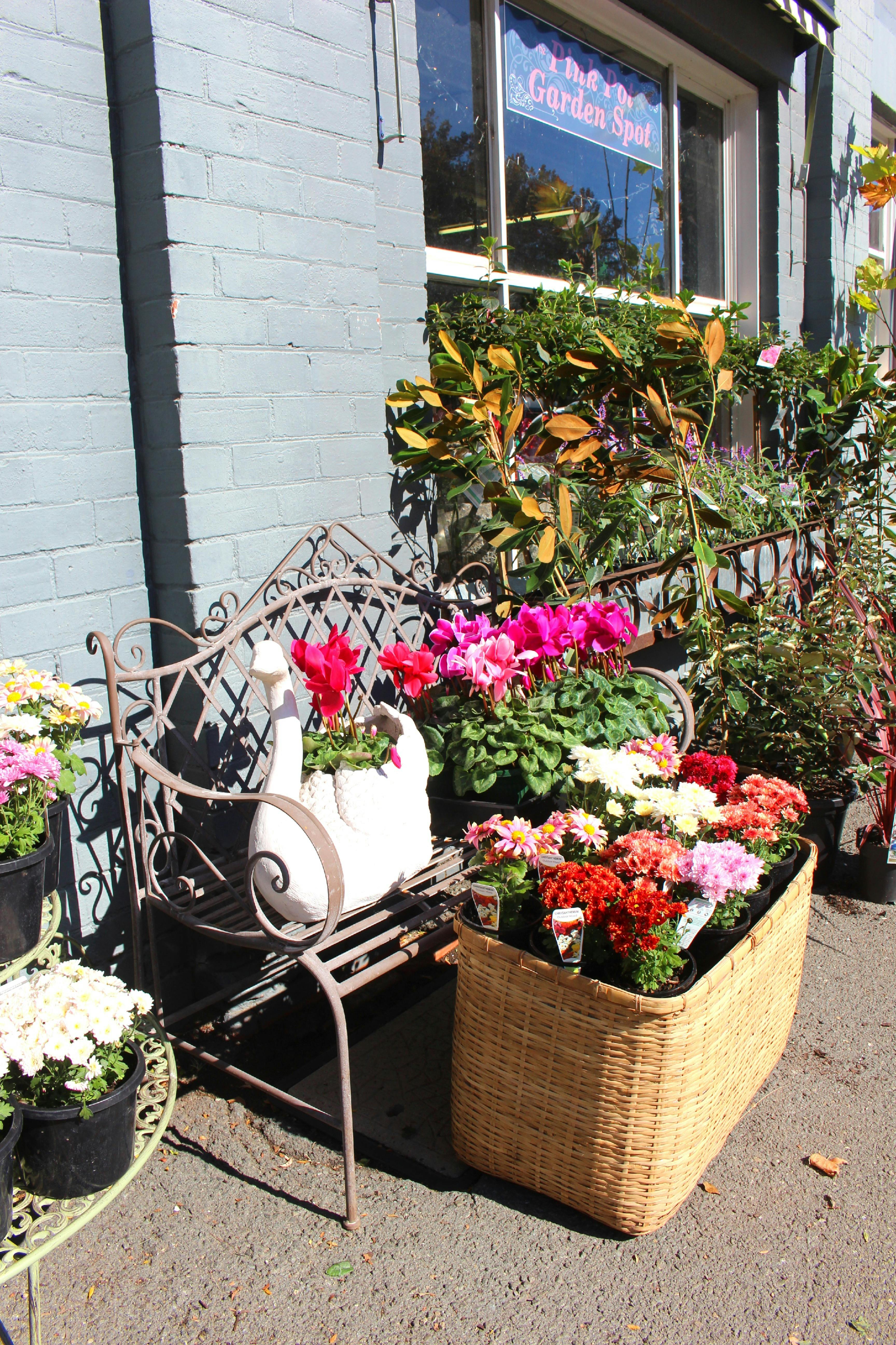 Pink Pot Garden Spot