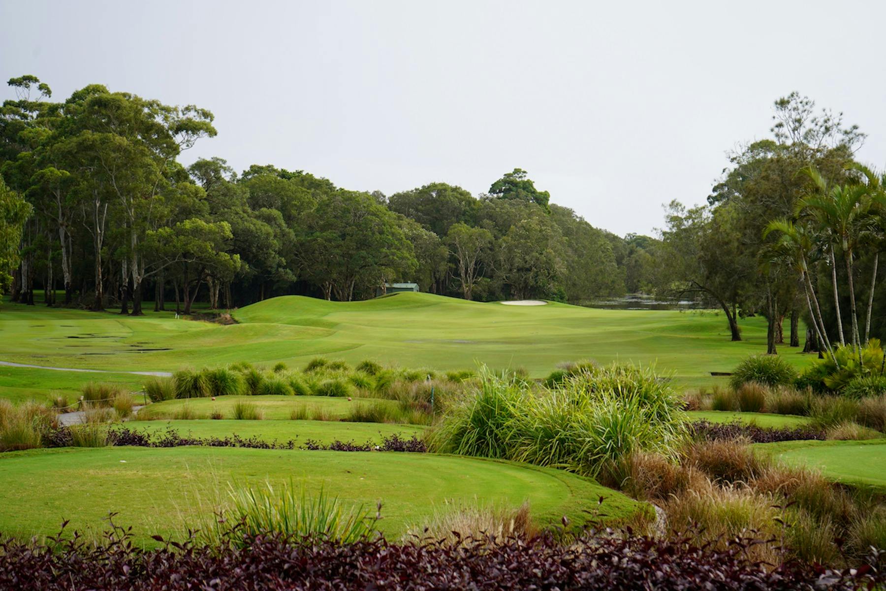 Byron Bay GC 1st tee