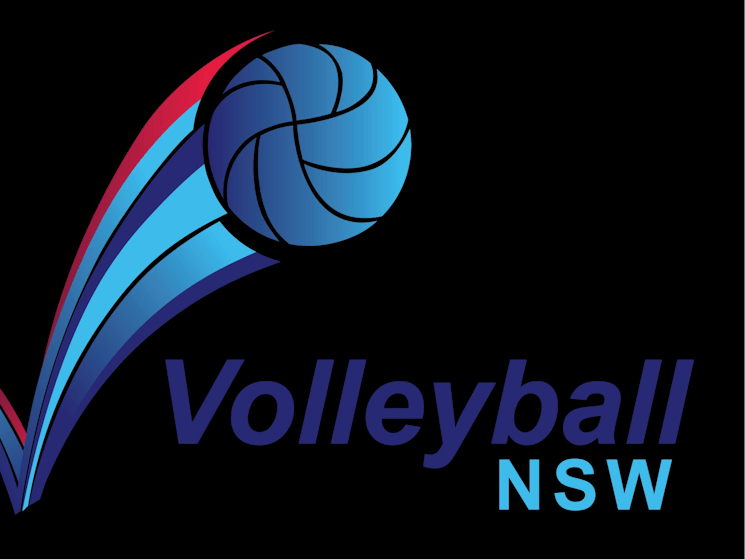 Volleyball NSW temporary logo