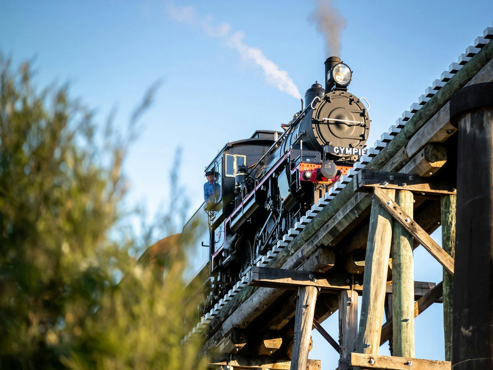 Mary Valley Rattler - Classic Rattler Run Mary Valley Rattler - Classic Rattler Run