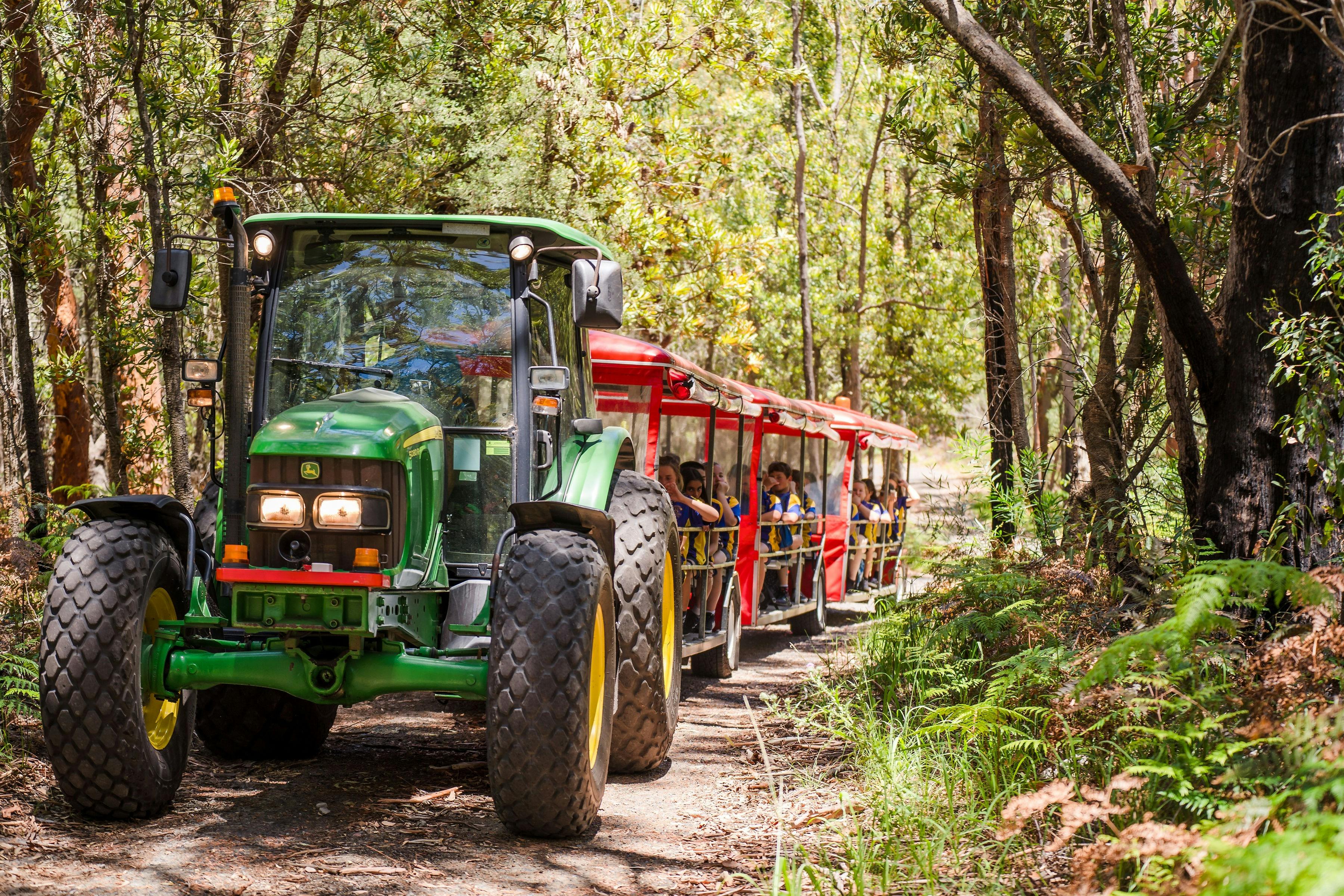 トボガン ヒル パーク