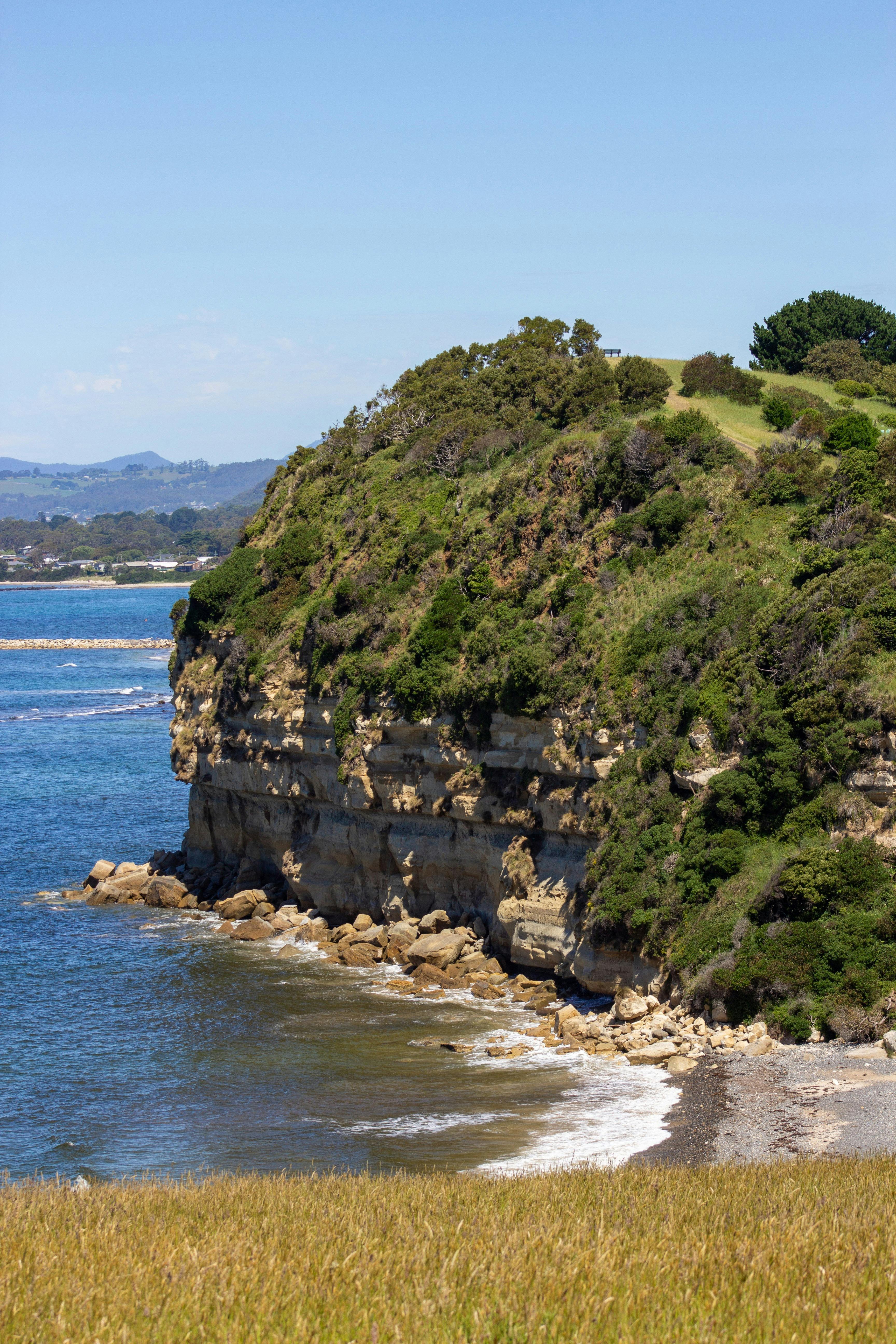 Fossil Bluff, Wynyard