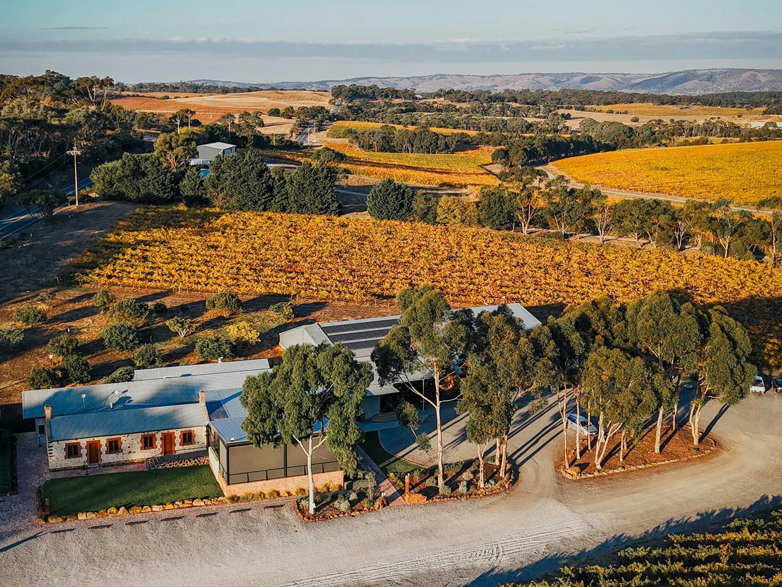 Oliver's Taranga Cellar Door