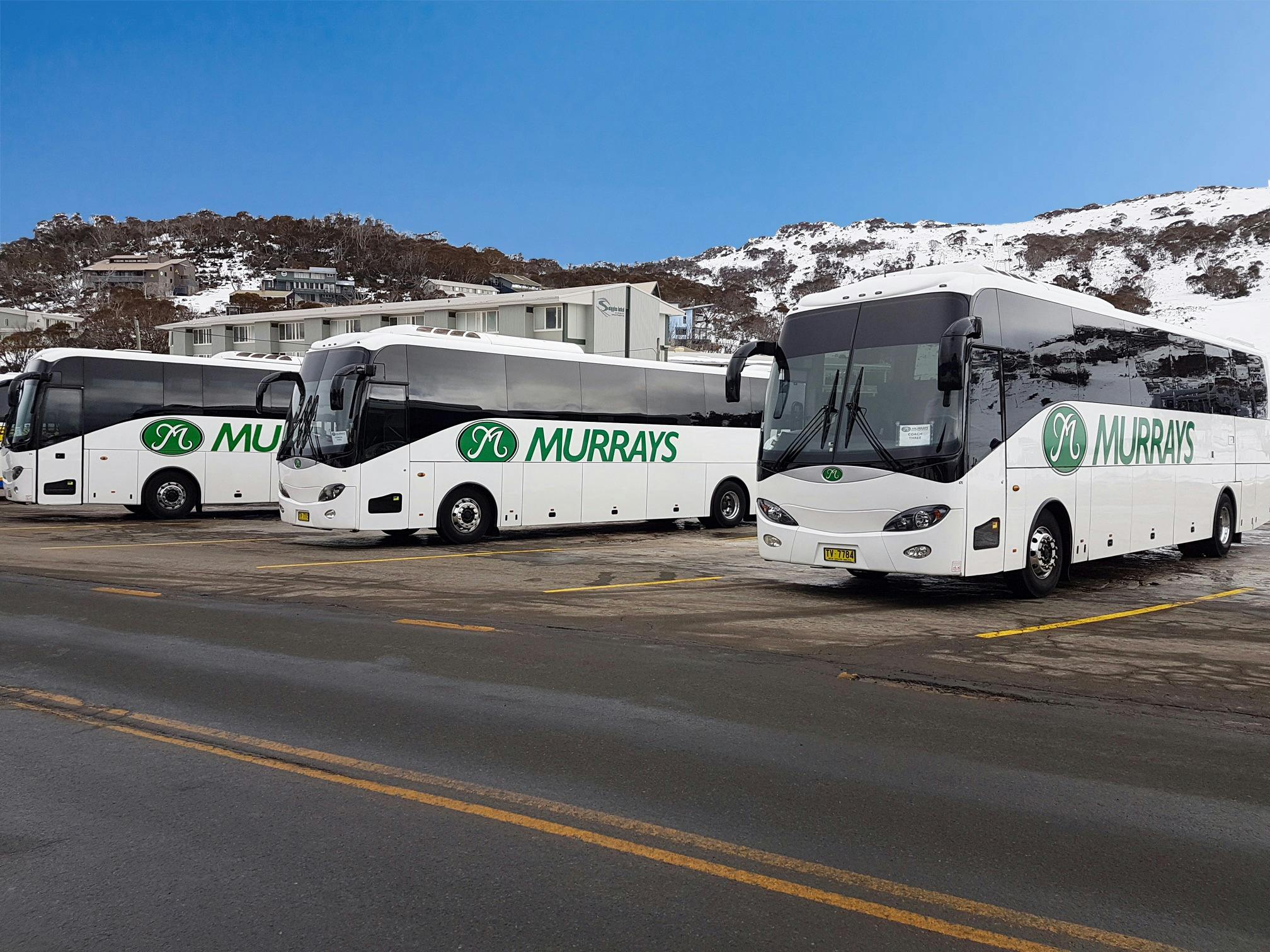 Murrays Coaches at the Snow Mountains