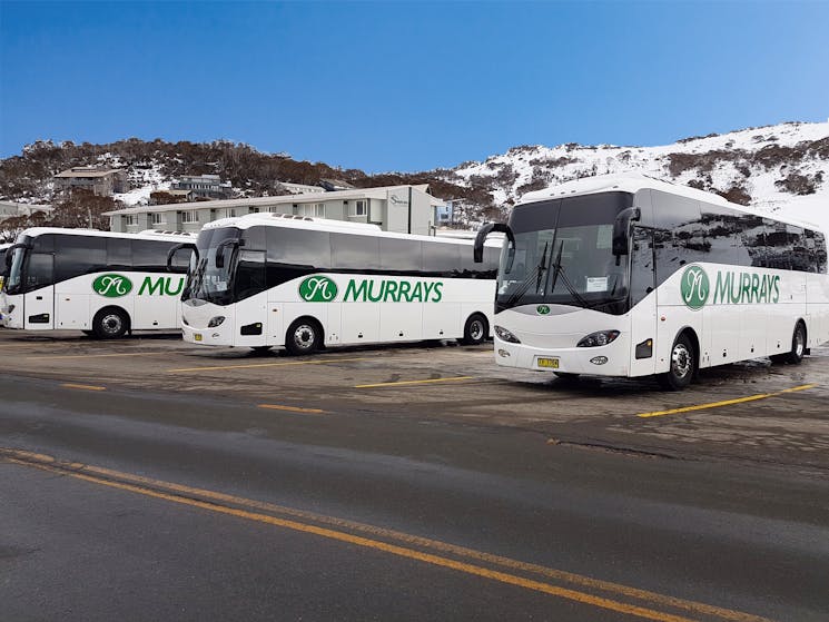 Murrays Coaches at the Snow Mountains