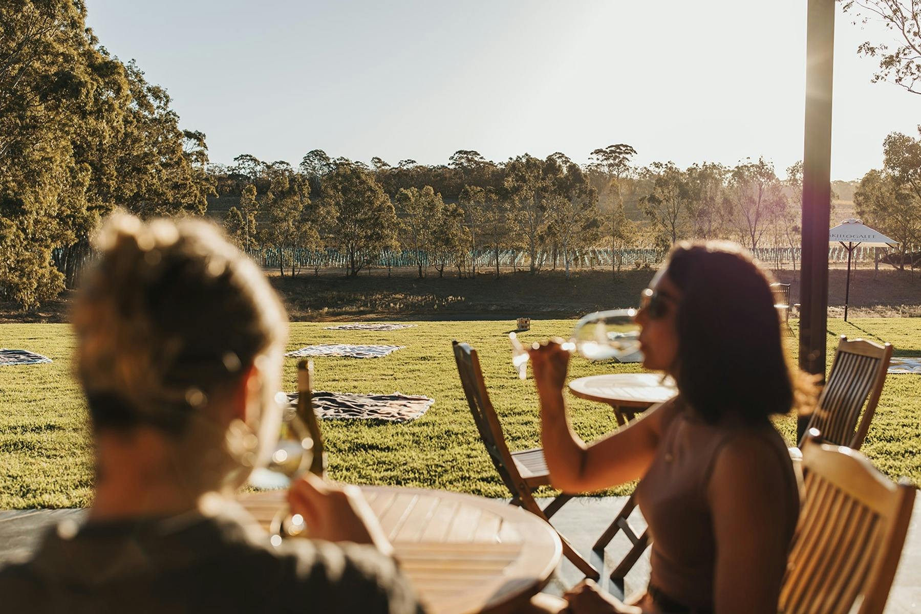 Skillogalee Estate Riesling Tasting