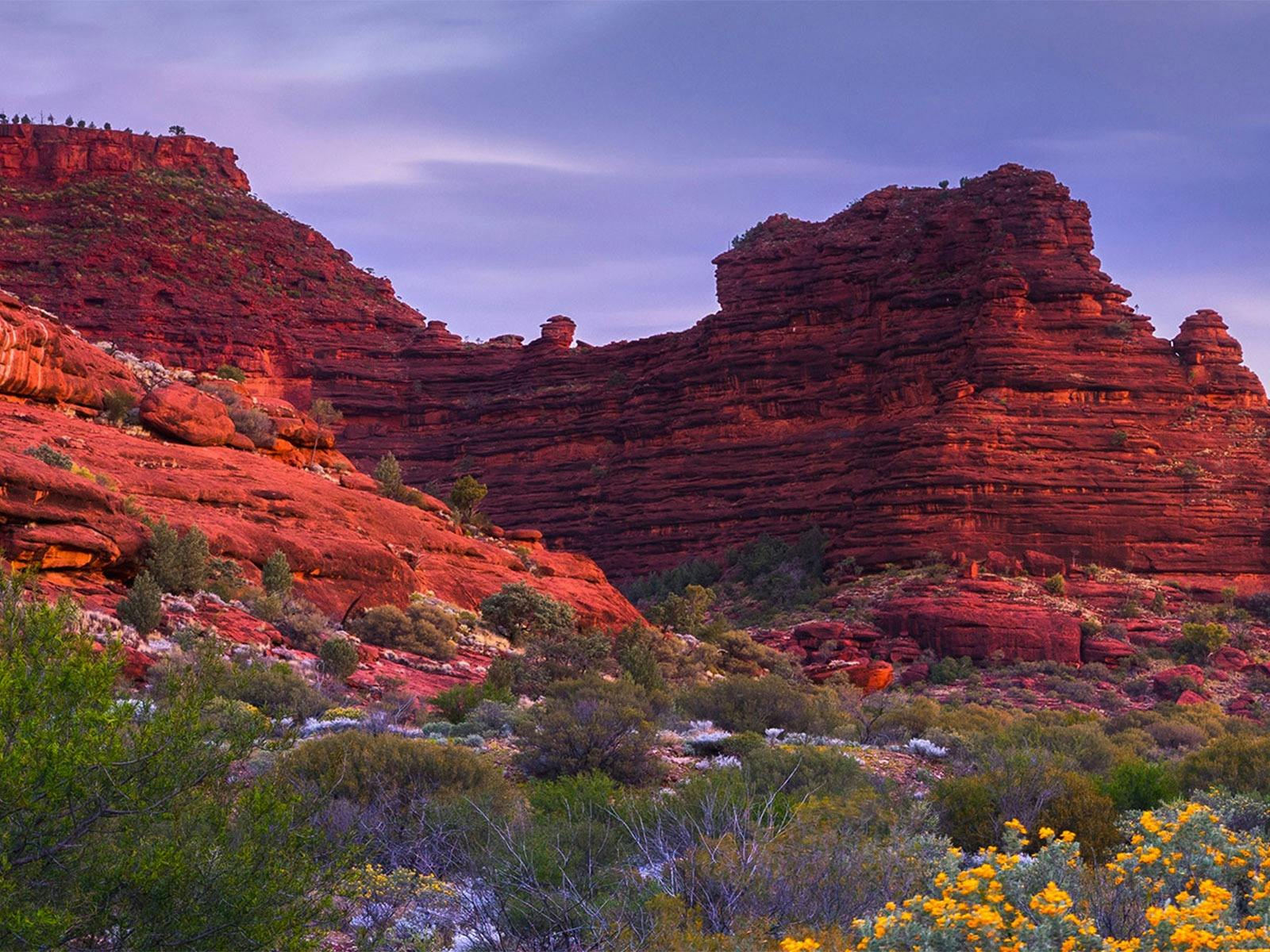 Palm Valley Outback Safari by 4WD | Full Day Tour