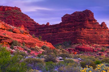 Palm Valley Outback Safari by 4WD | Full Day Tour