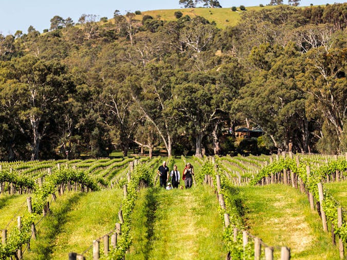 Gemtree Wine Experiences