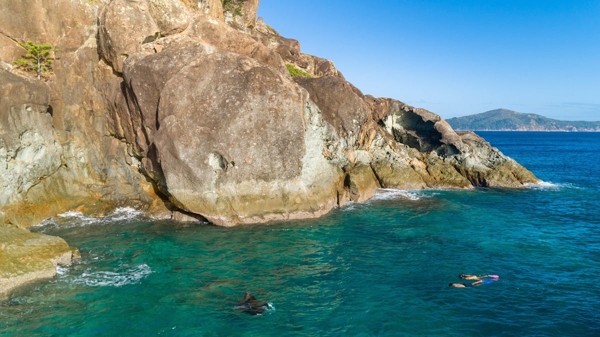 Two people snorkelling near rocks in Luncheon Bay off Hook Island with Manta ray coming towards them