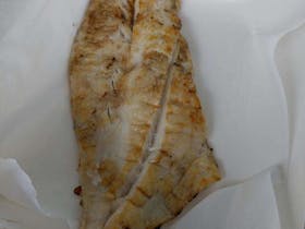 Chipper Fish