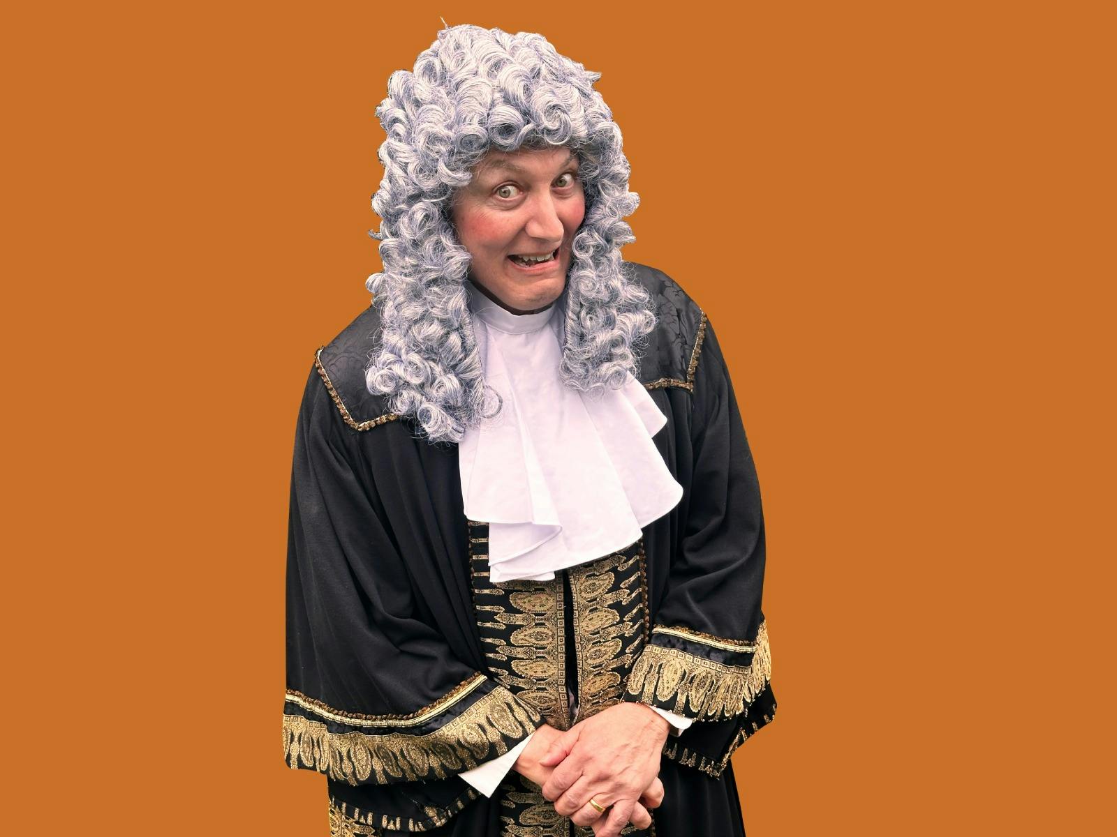 Learned Judge - as guilty as the Defendant