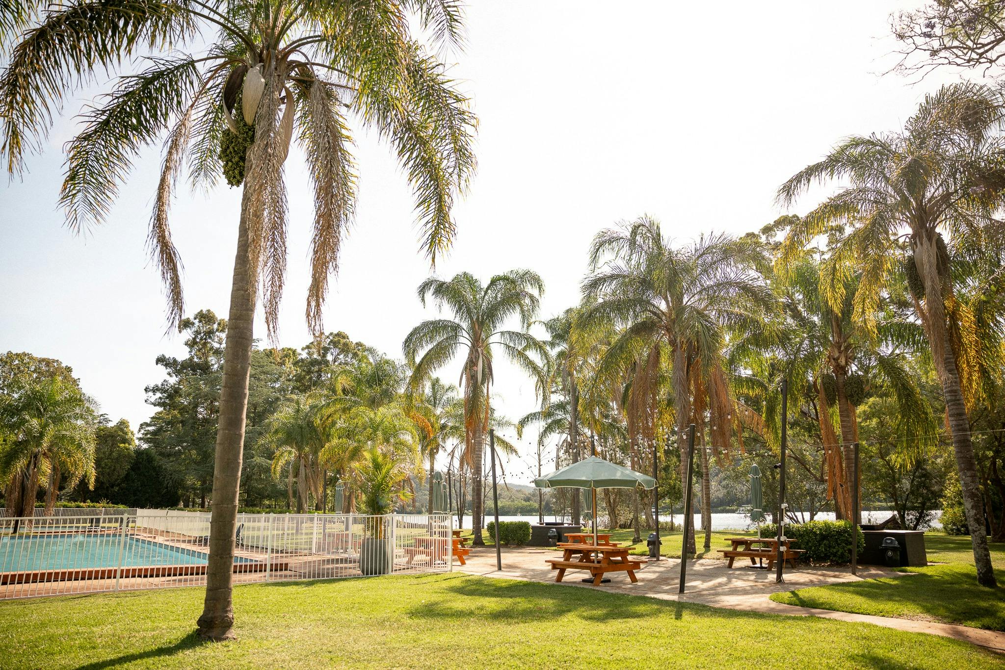 プールとバーベキュー