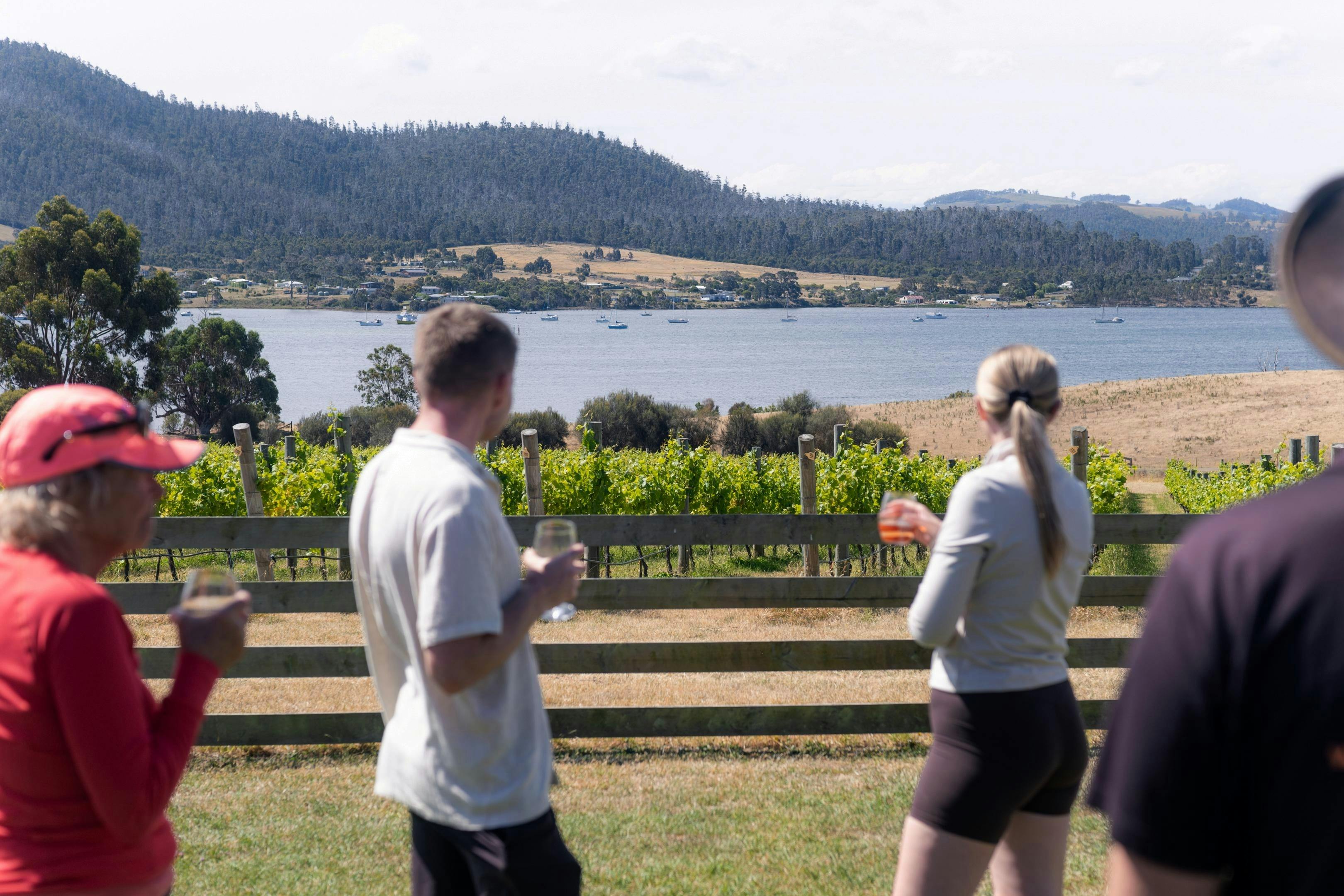 Cape Hauy Hike - Bangor Winery