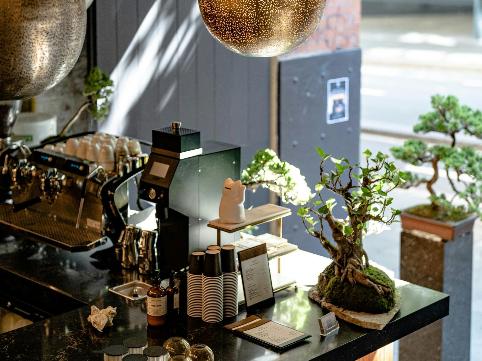 Kahii in the morning