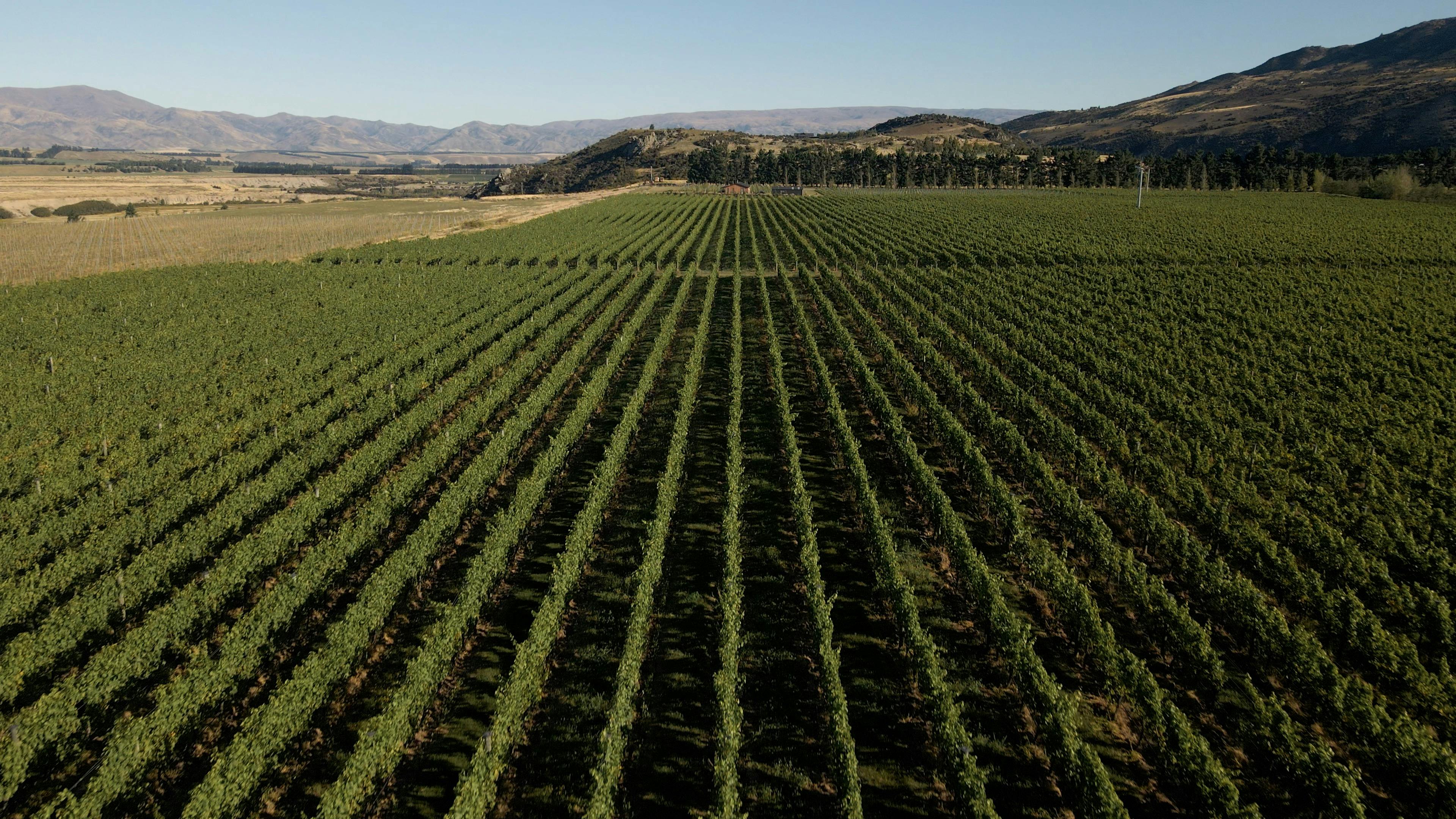 Nanny Goat Wine Makers Dinner | Beechmont Estate