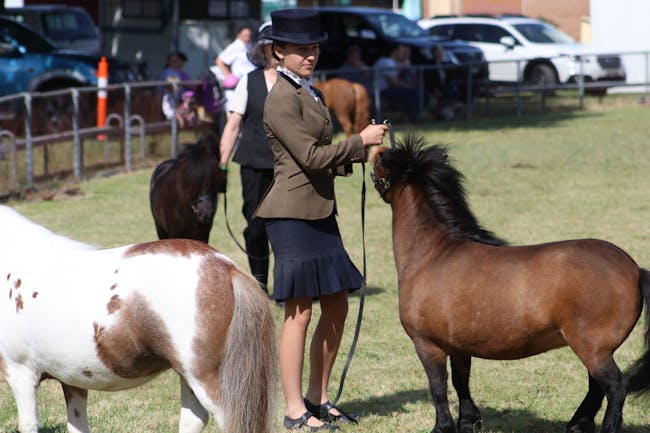 Ponies