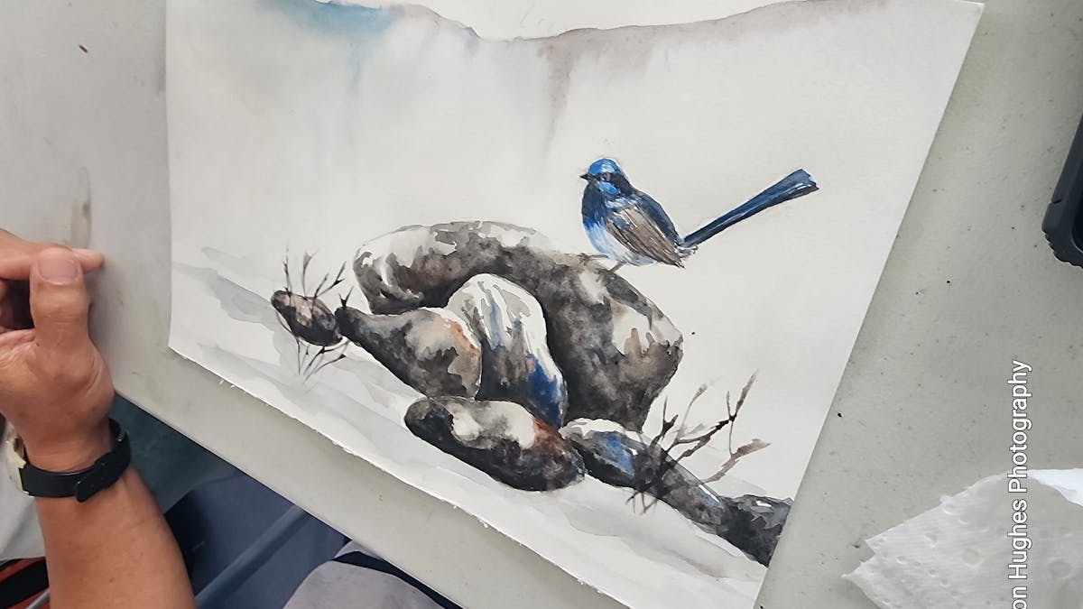 Blue bird searching.