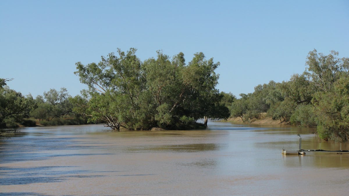 The Thomson River Island at Jundah in far western Queensland