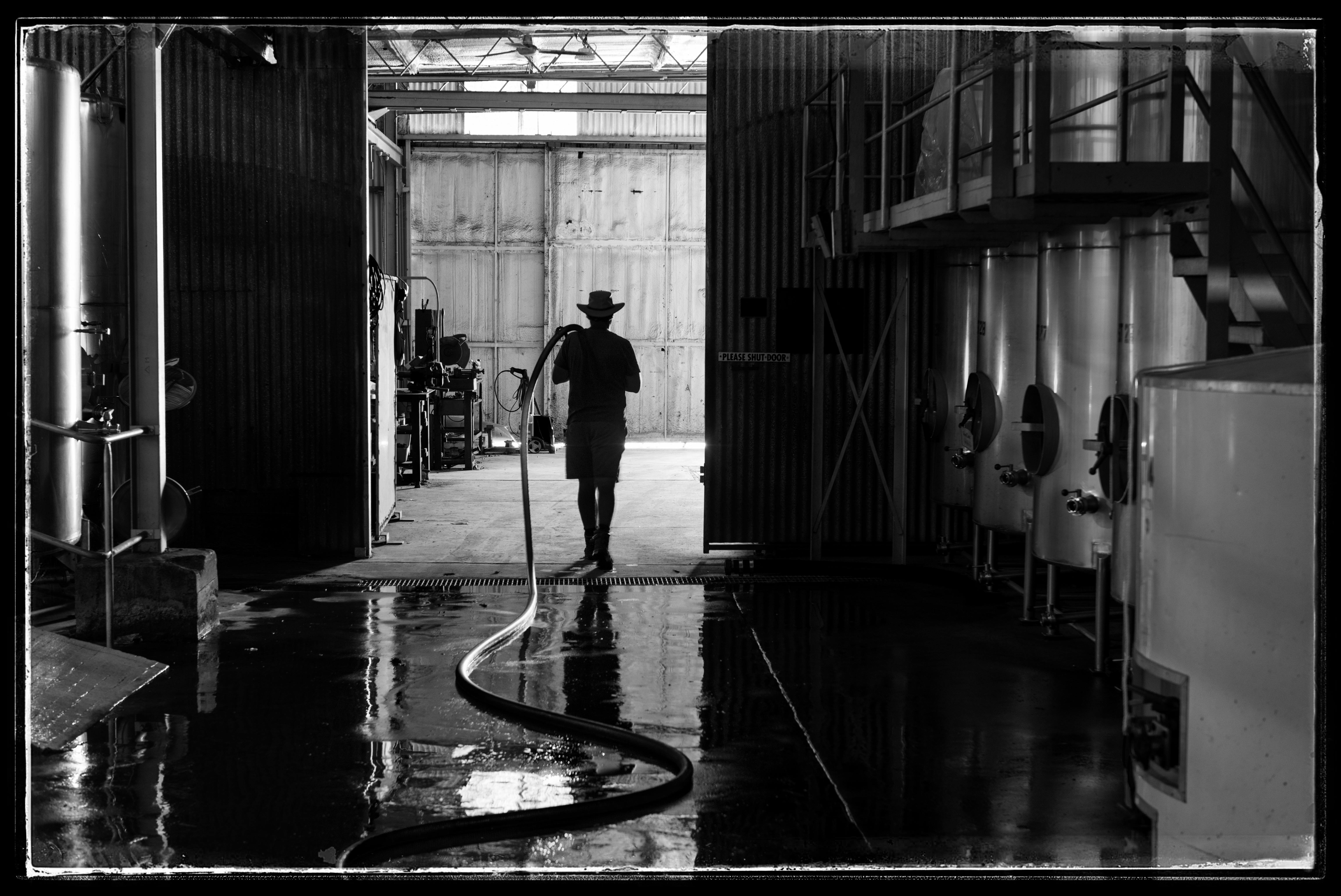 In the winery at Sevenhill