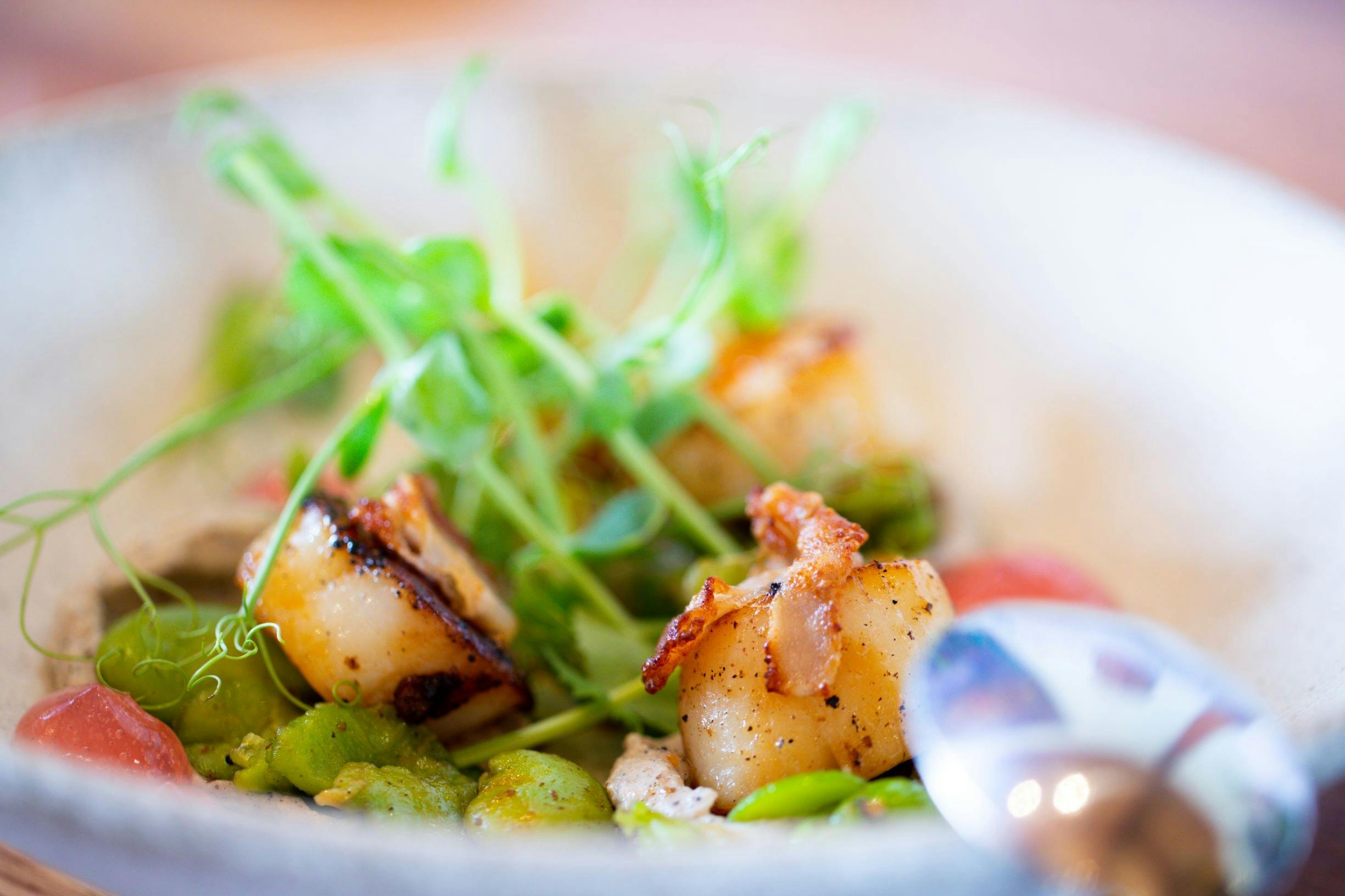 pan fried scallops / cauliflower / chorizo / apple & yuzu