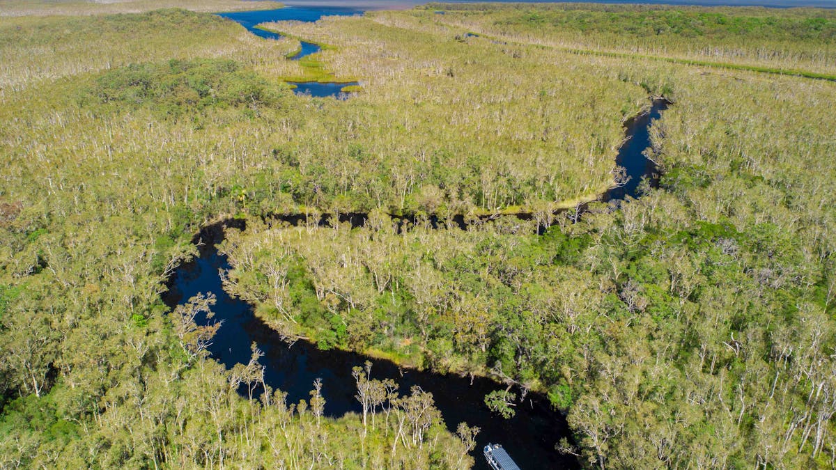 Noosa Everglades and Hinterland Villages Tour with Joel's Journeys