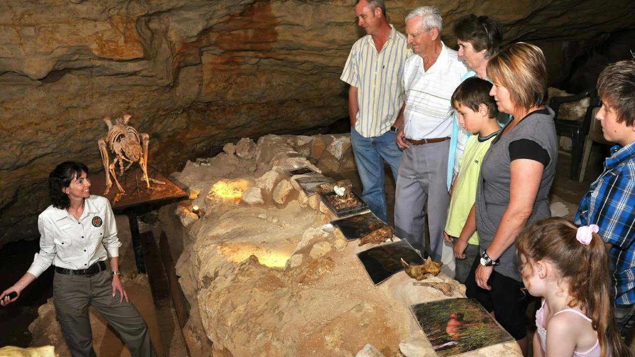 Guided Tour