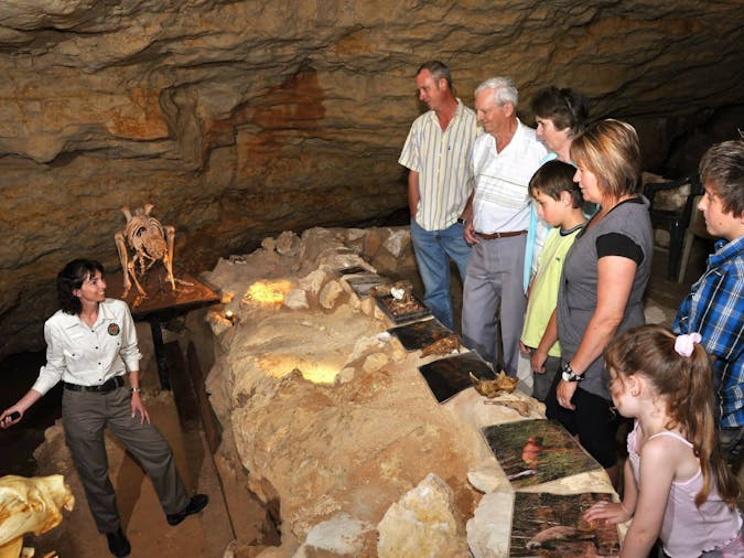 Naracoorte Caves