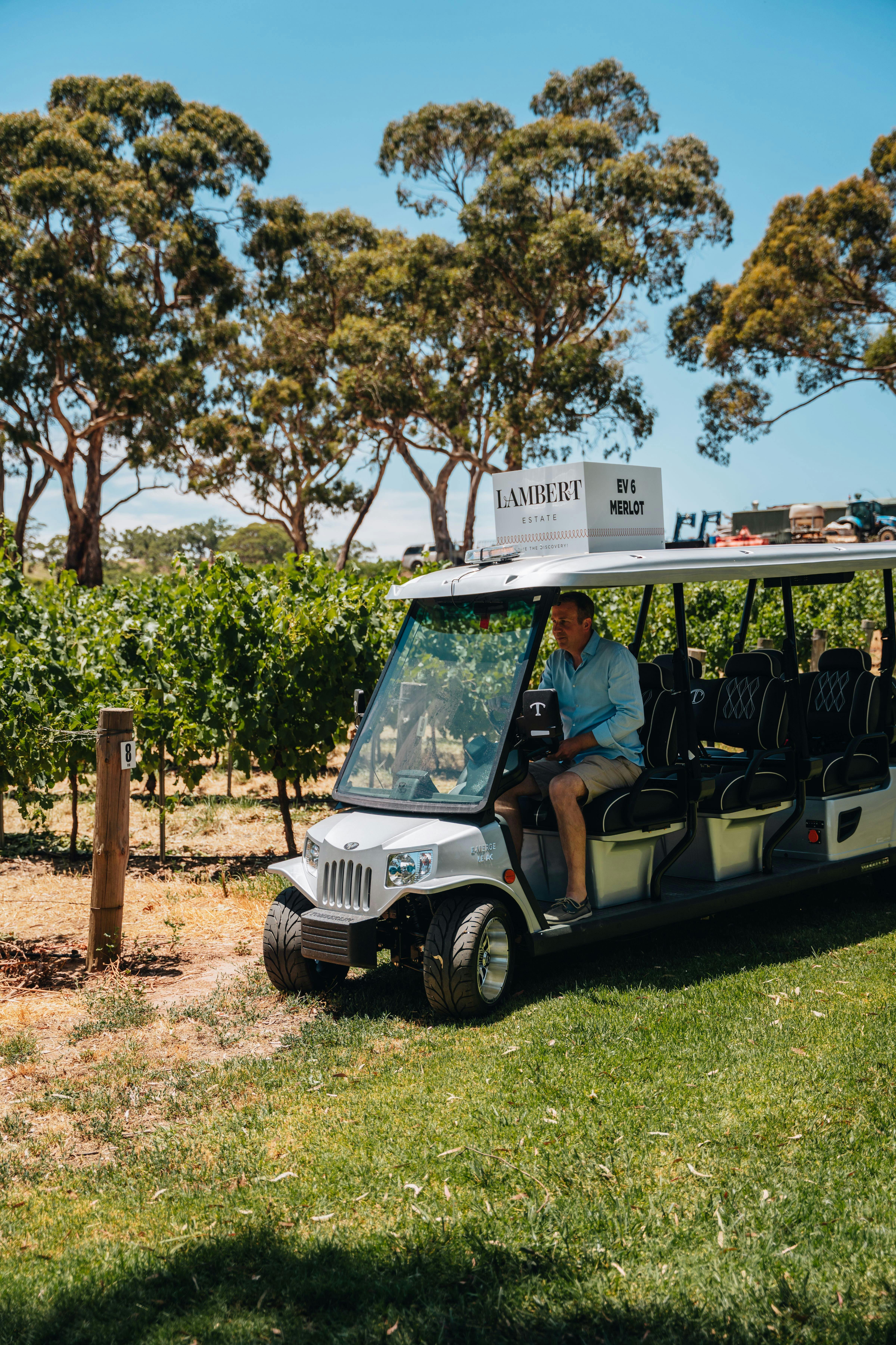 EcoVine Explorer - Vineyard e-Cart Tours