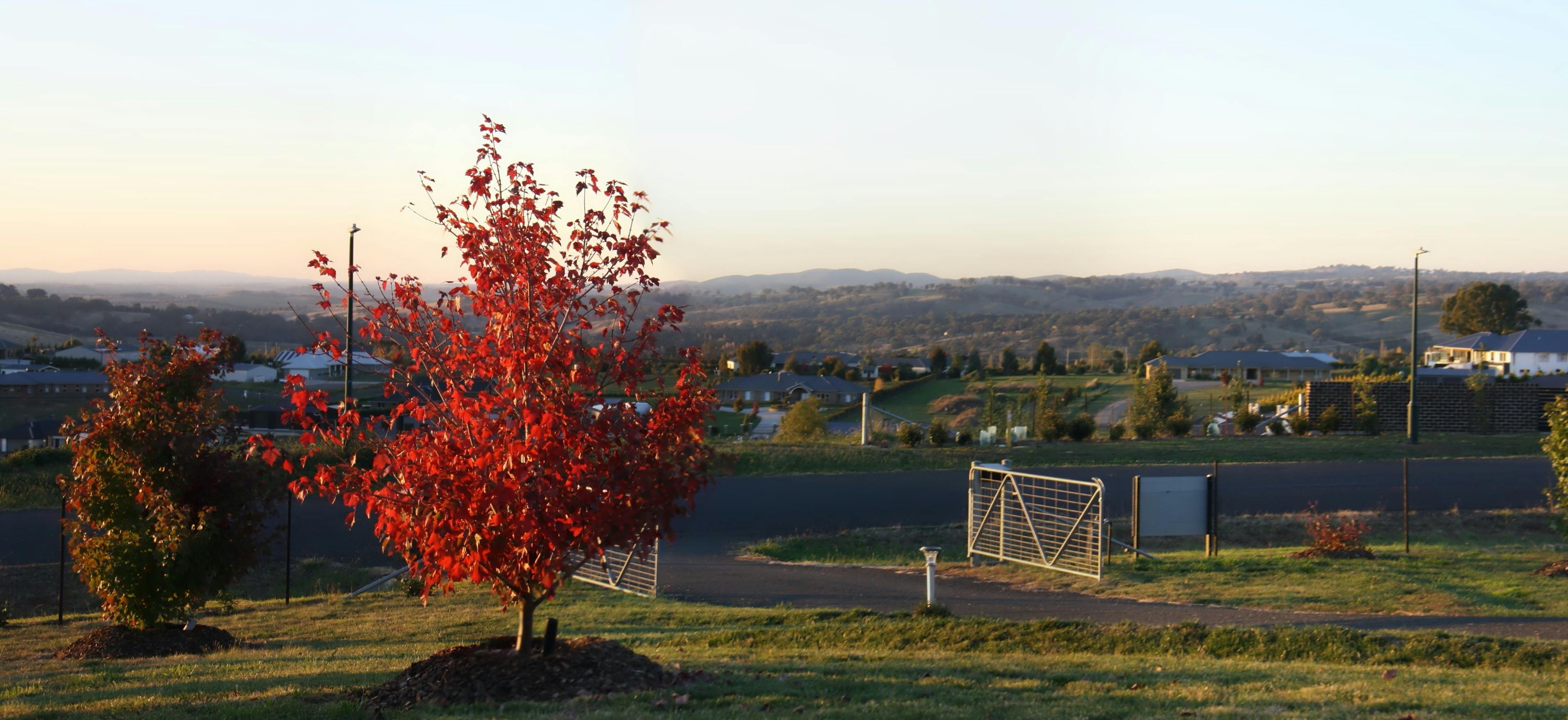 All bedrooms have gorgeous views to the north.  Enjoy watching the sunset with a comforting drink