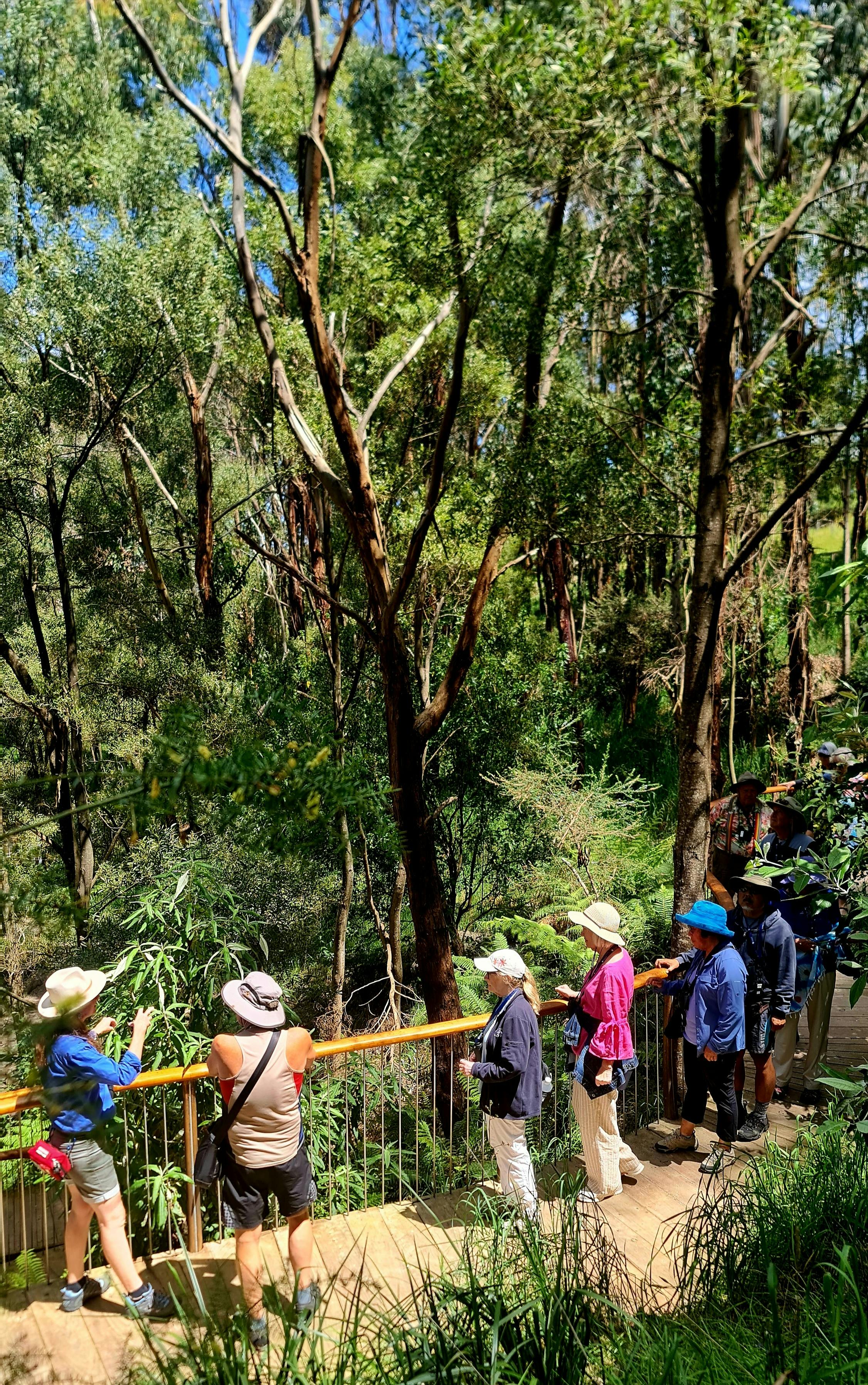 Guided Tour