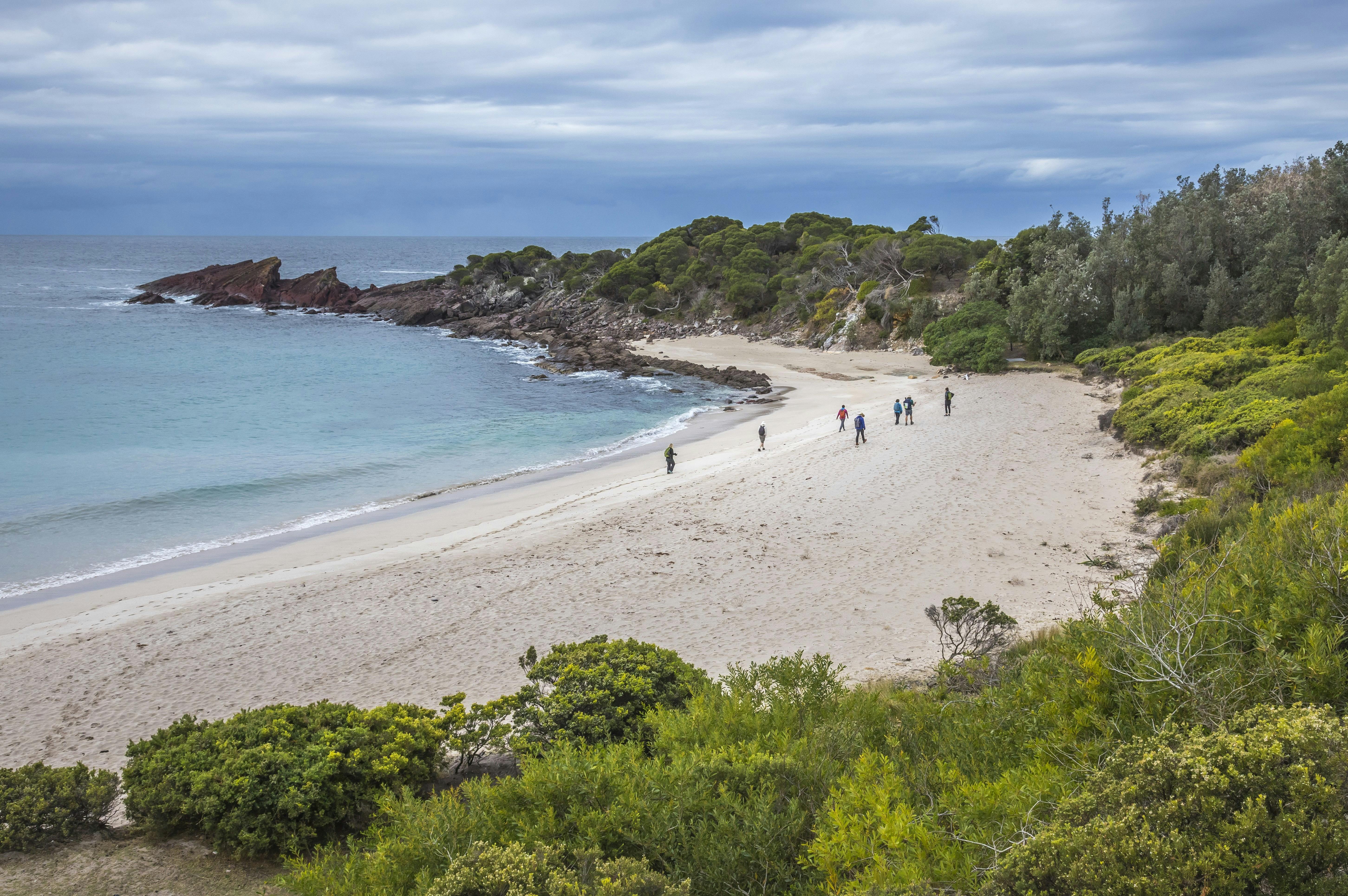 Walkers on a sandy beach on the Light to Light walk