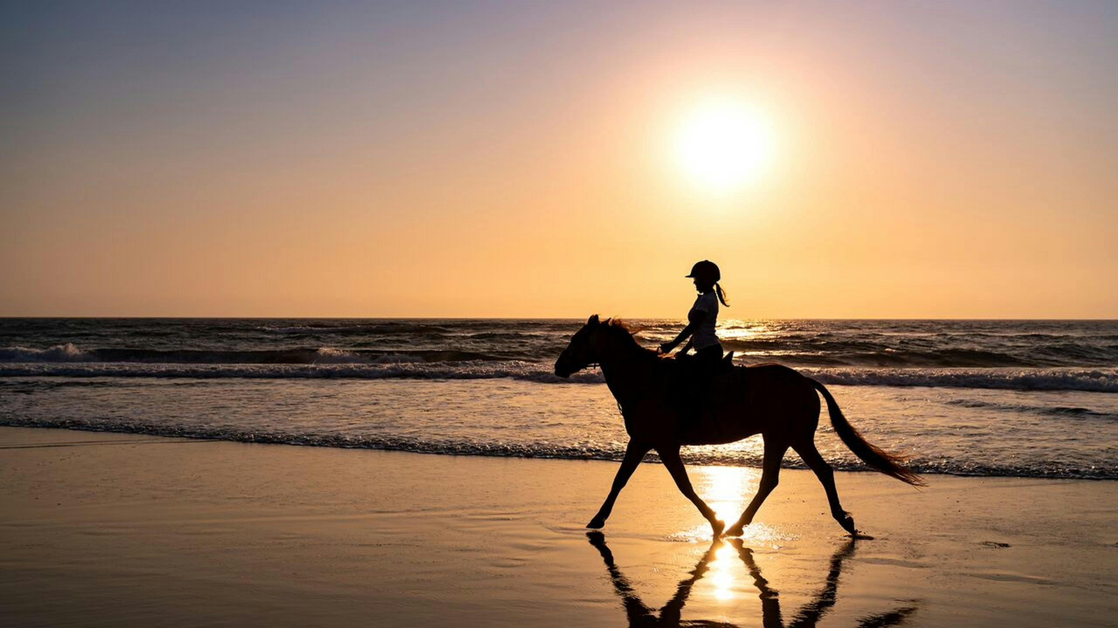 Horse riding at sunrise
