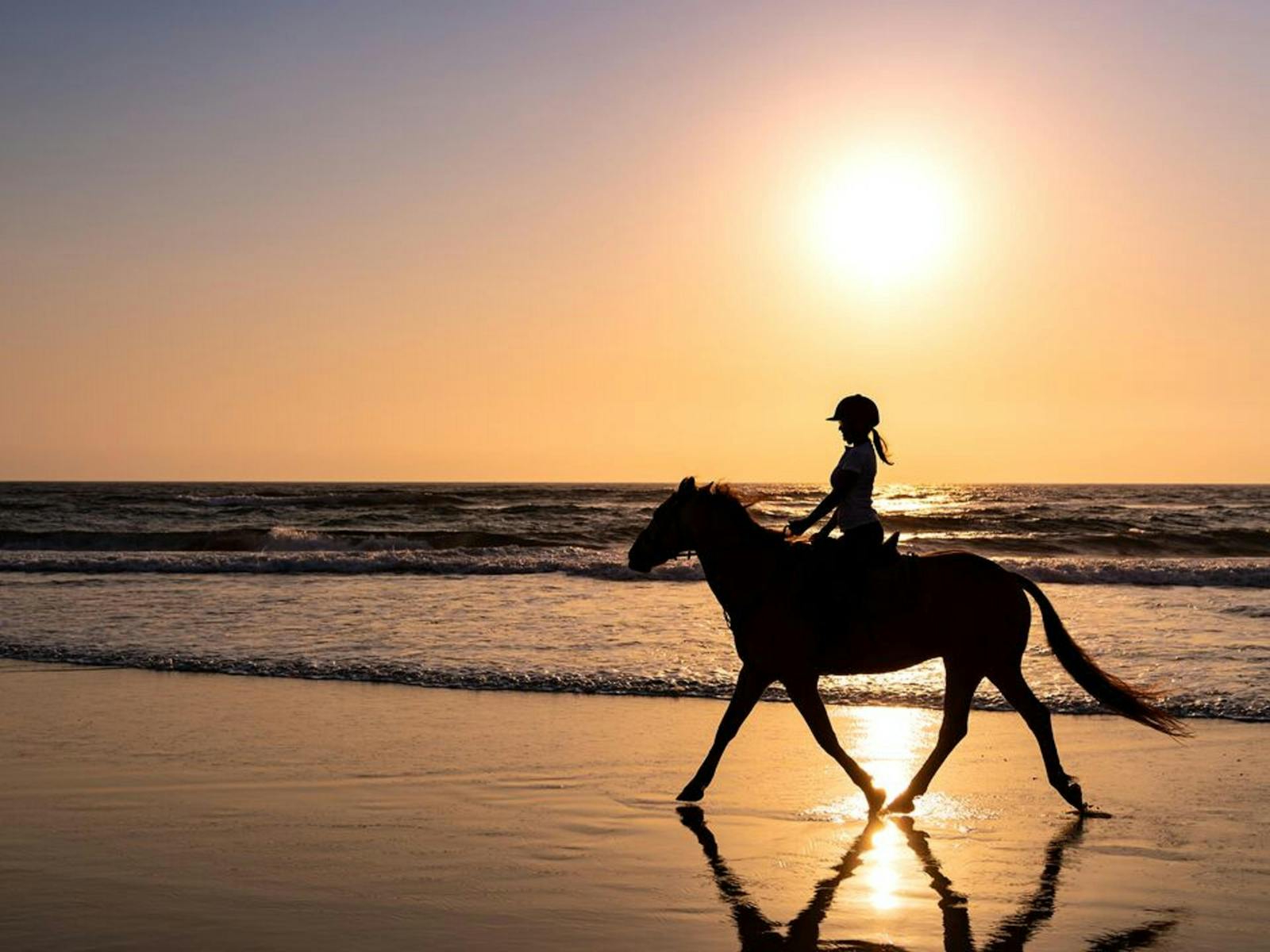 Horse Riding at Sunrise