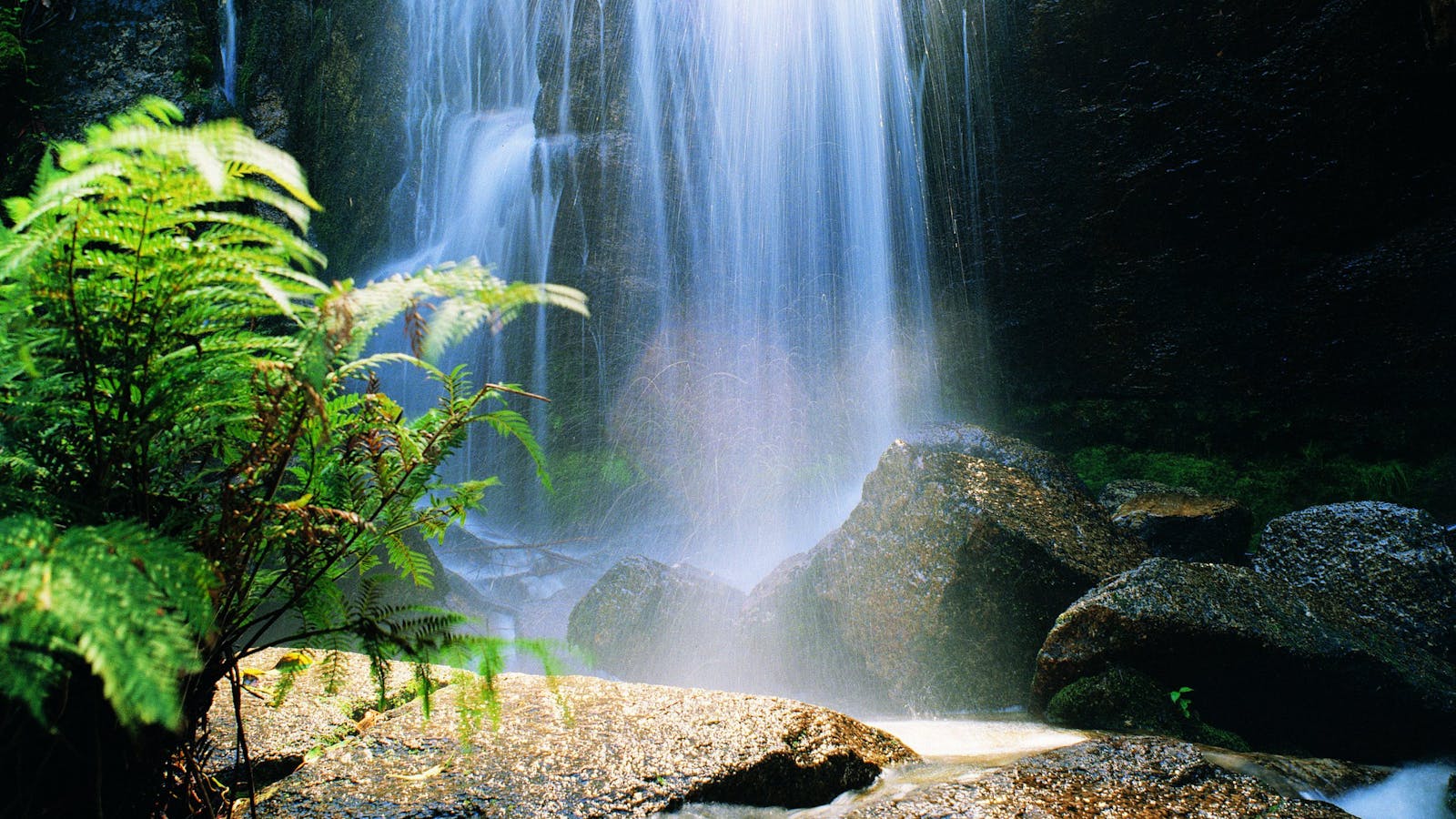 Mount Buangor State Park