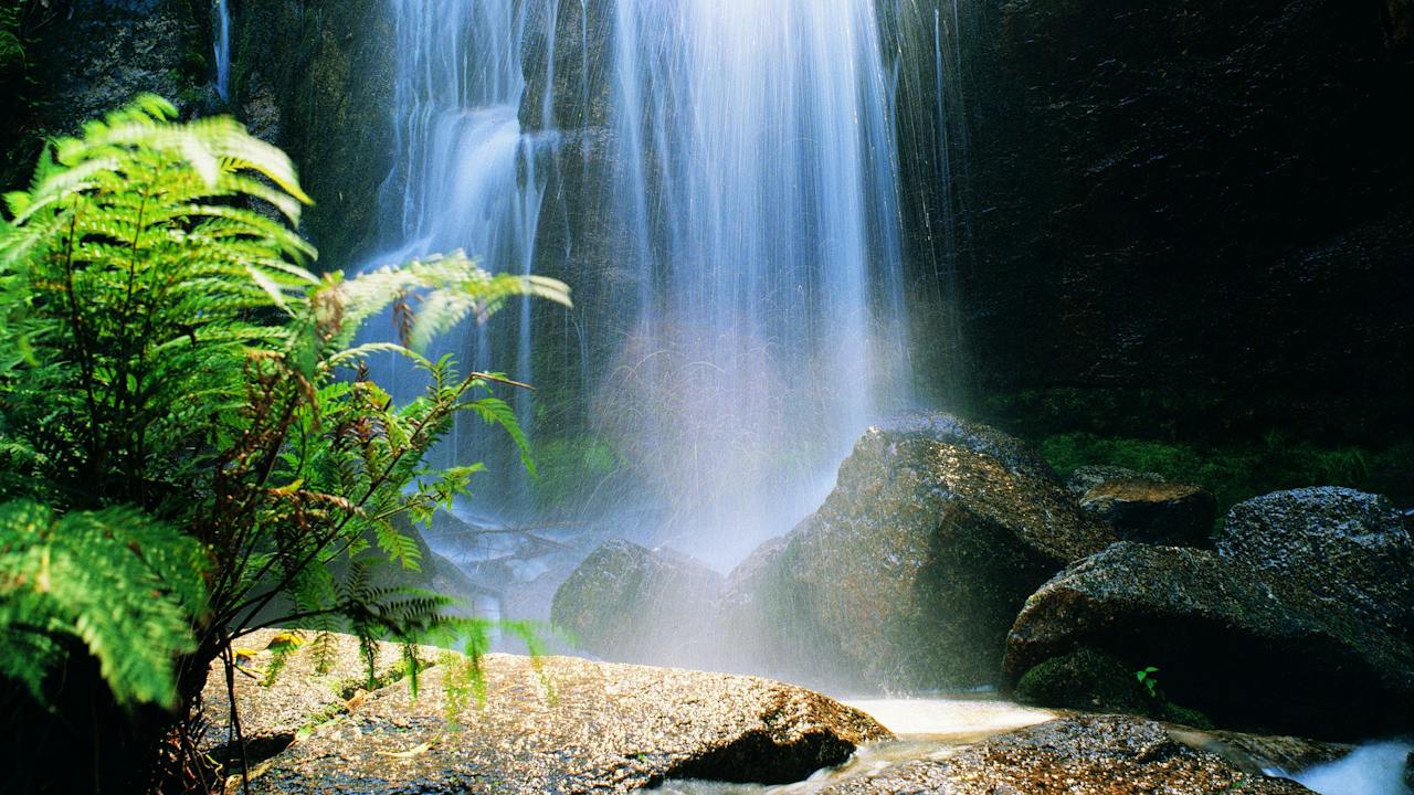 Mount Buangor State Park