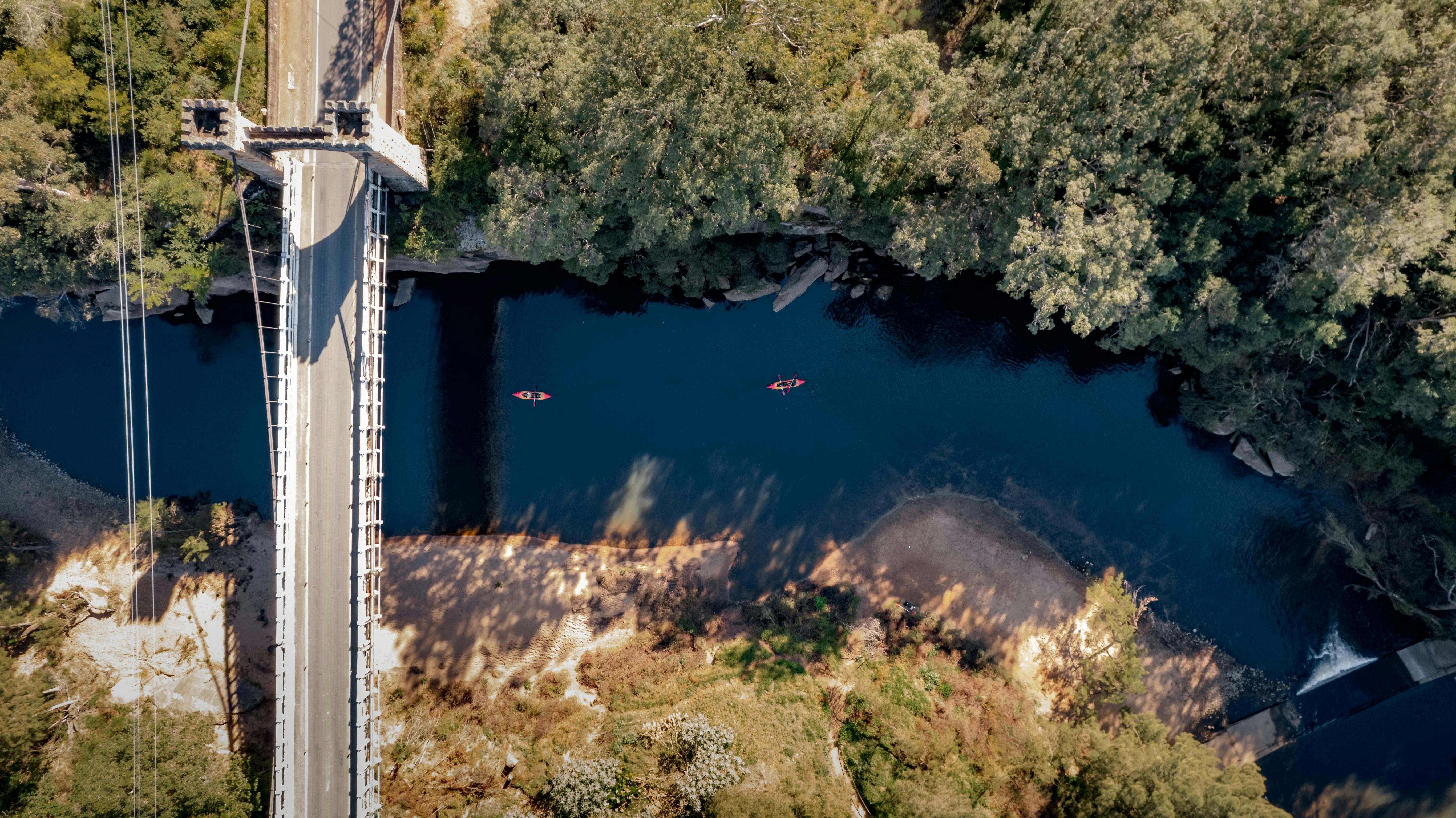 A popular trip is Kayaking under the Hampden Bridge and adventuring over some small rapids