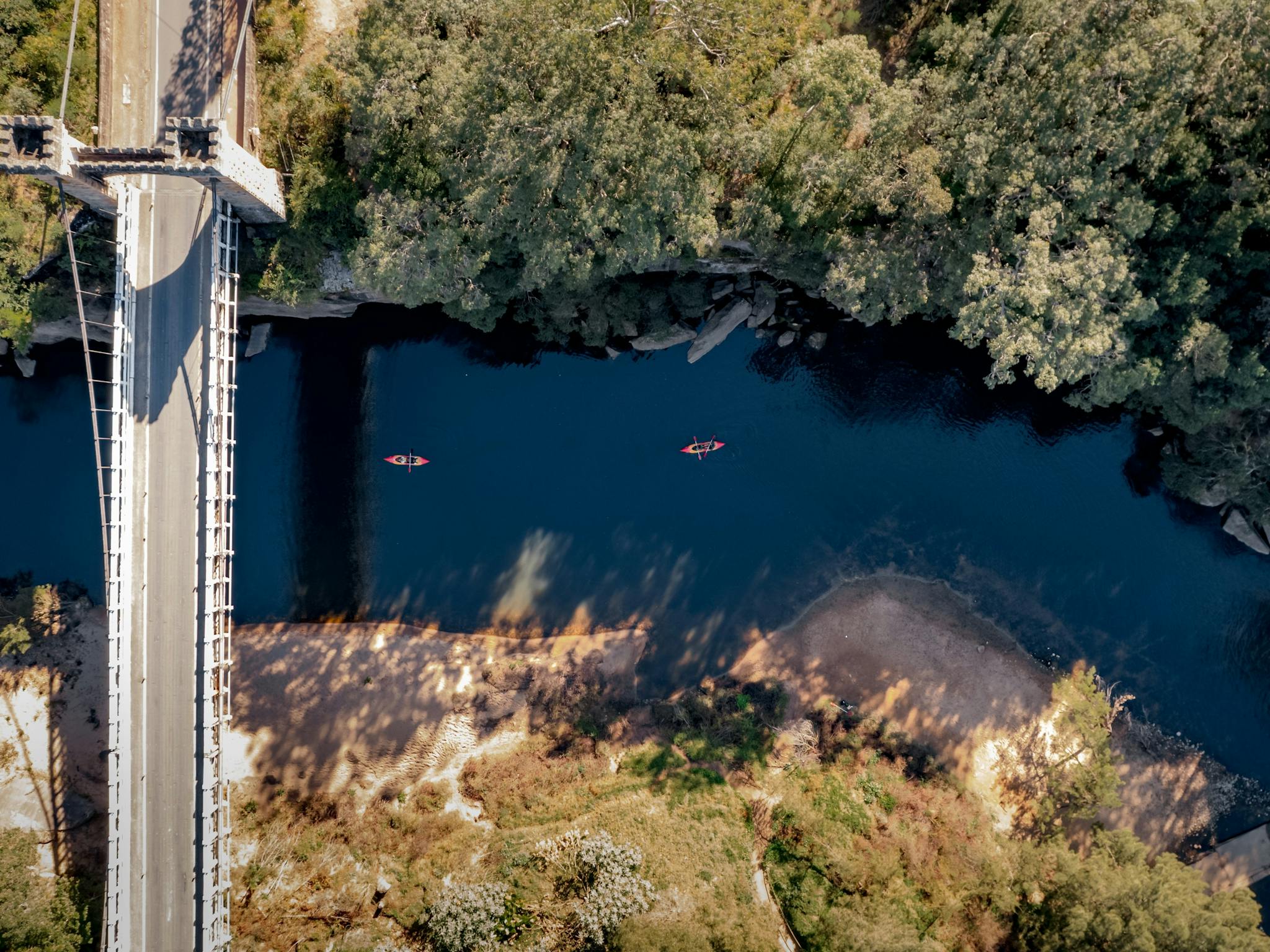 A popular trip is Kayaking under the Hampden Bridge and adventuring over some small rapids