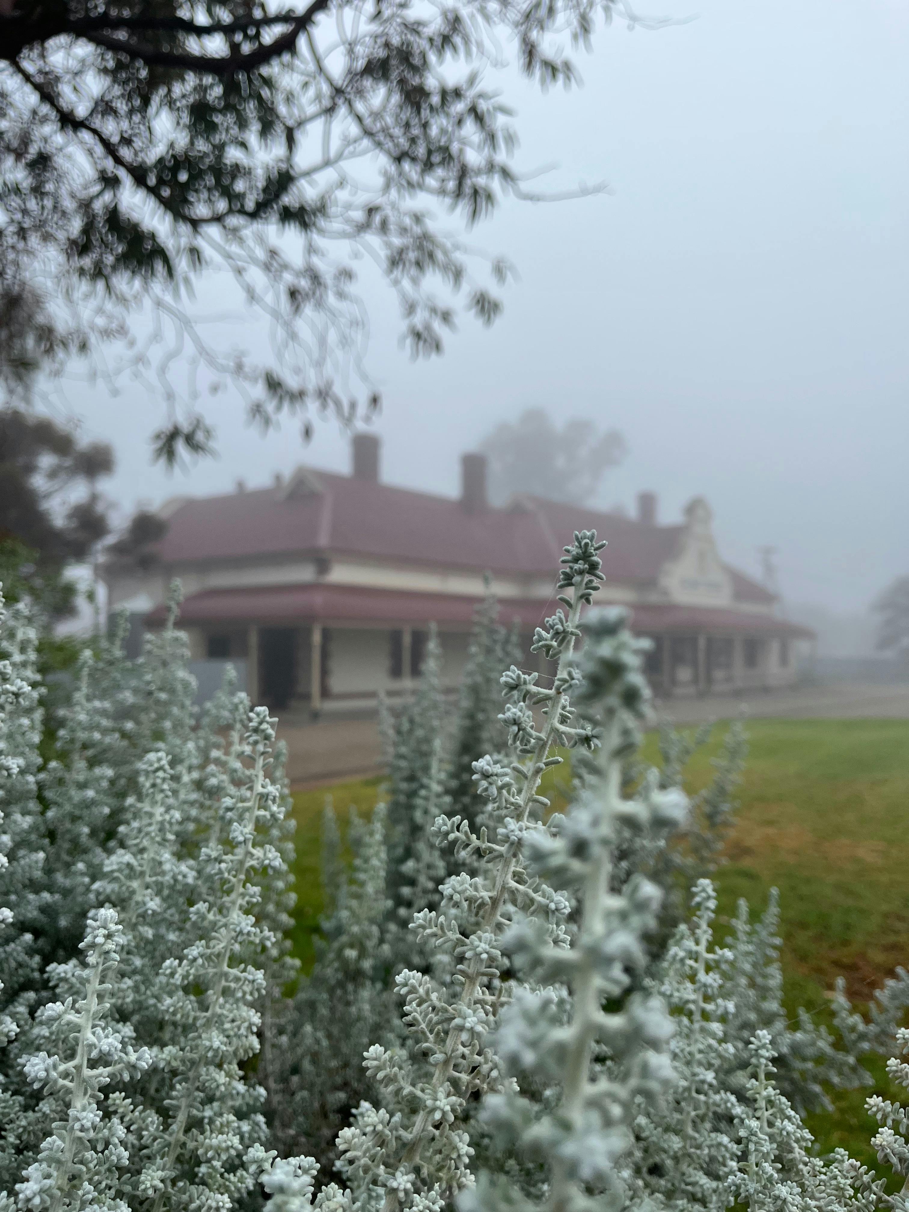 Quorn Railway Station in the background on a misty morning.