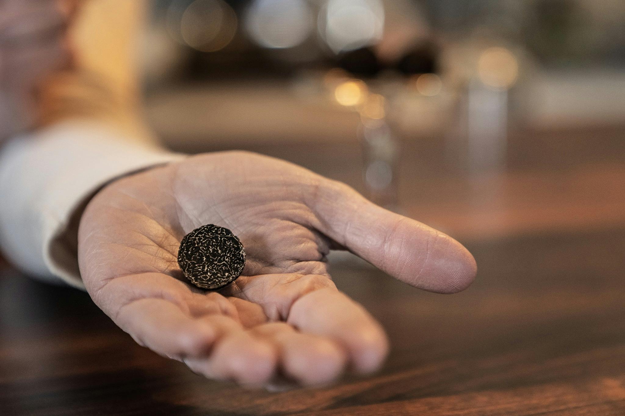Truffle