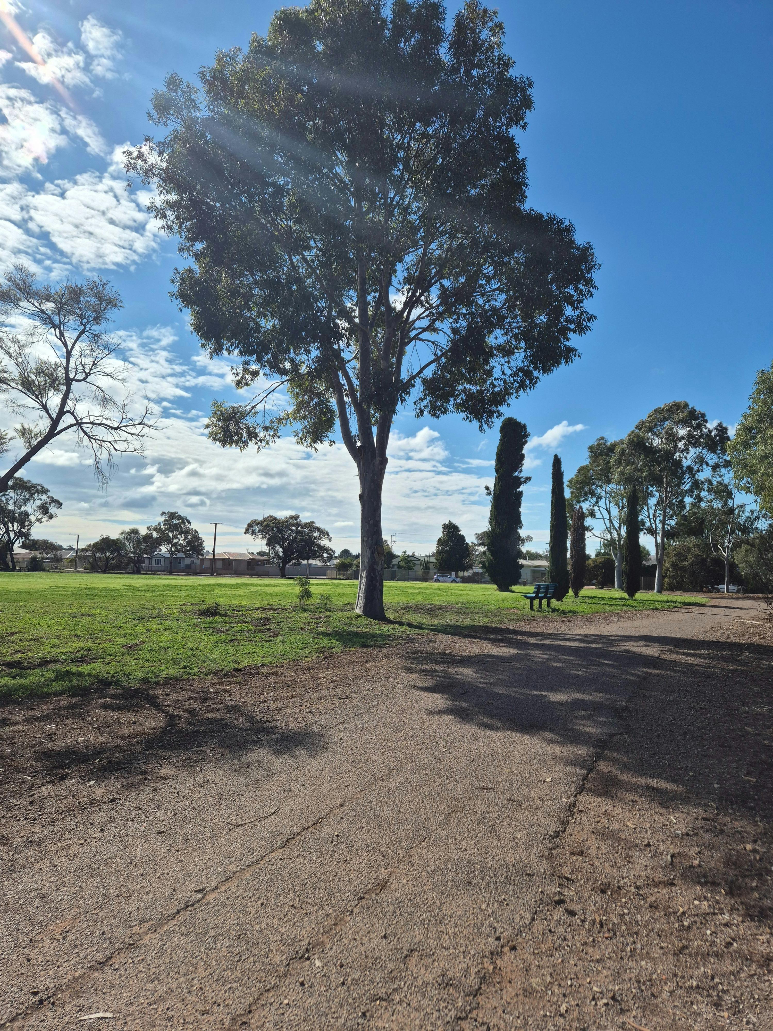 Whyalla Dog Park