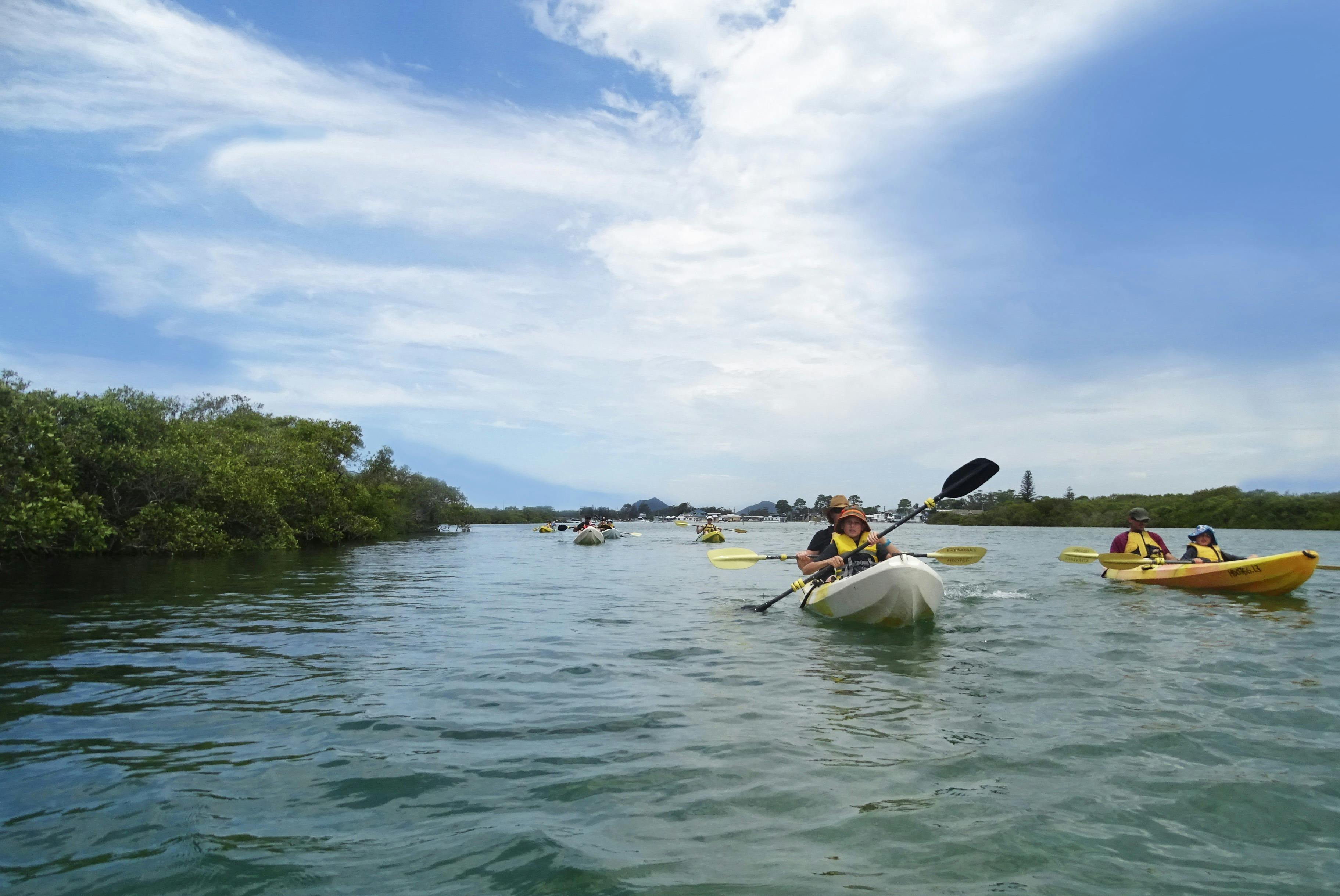 Guided kayaks tour