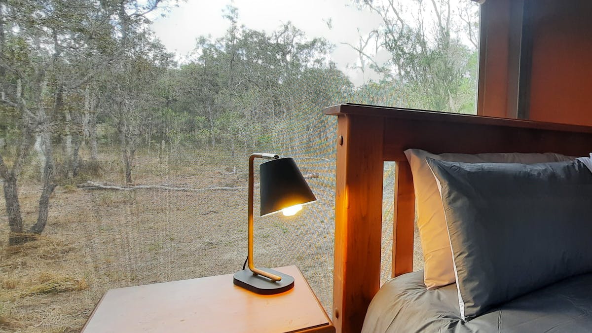 inside bush tent with a forest view