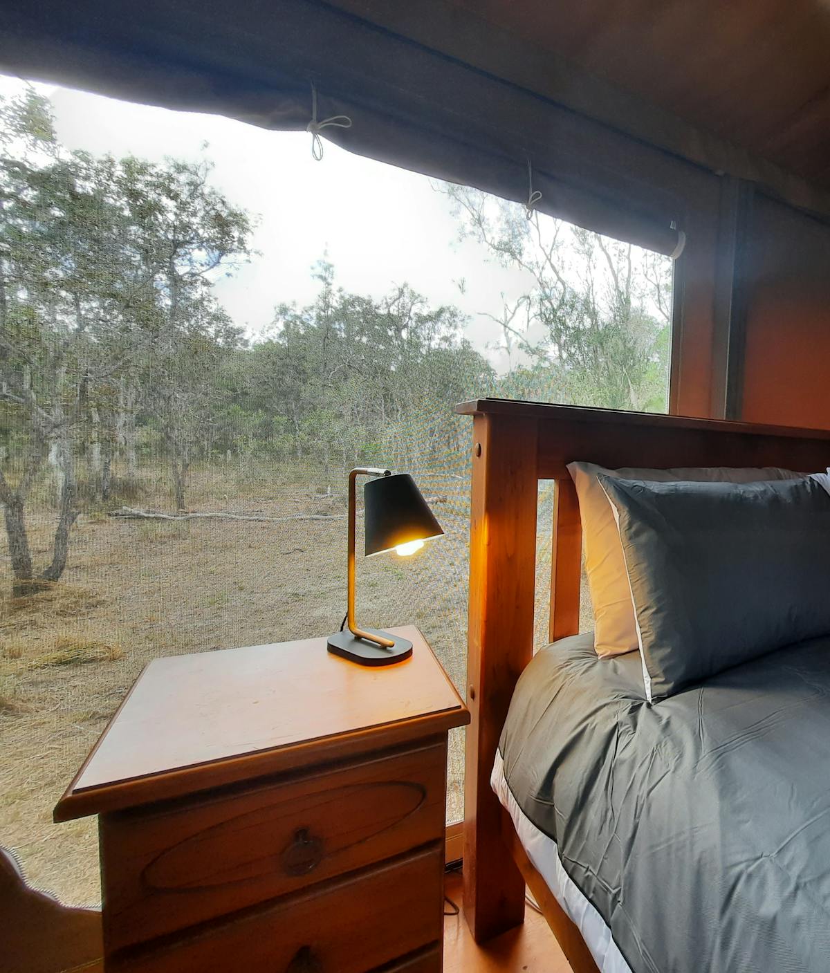 inside bush tent with a forest view