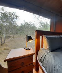 inside bush tent with a forest view