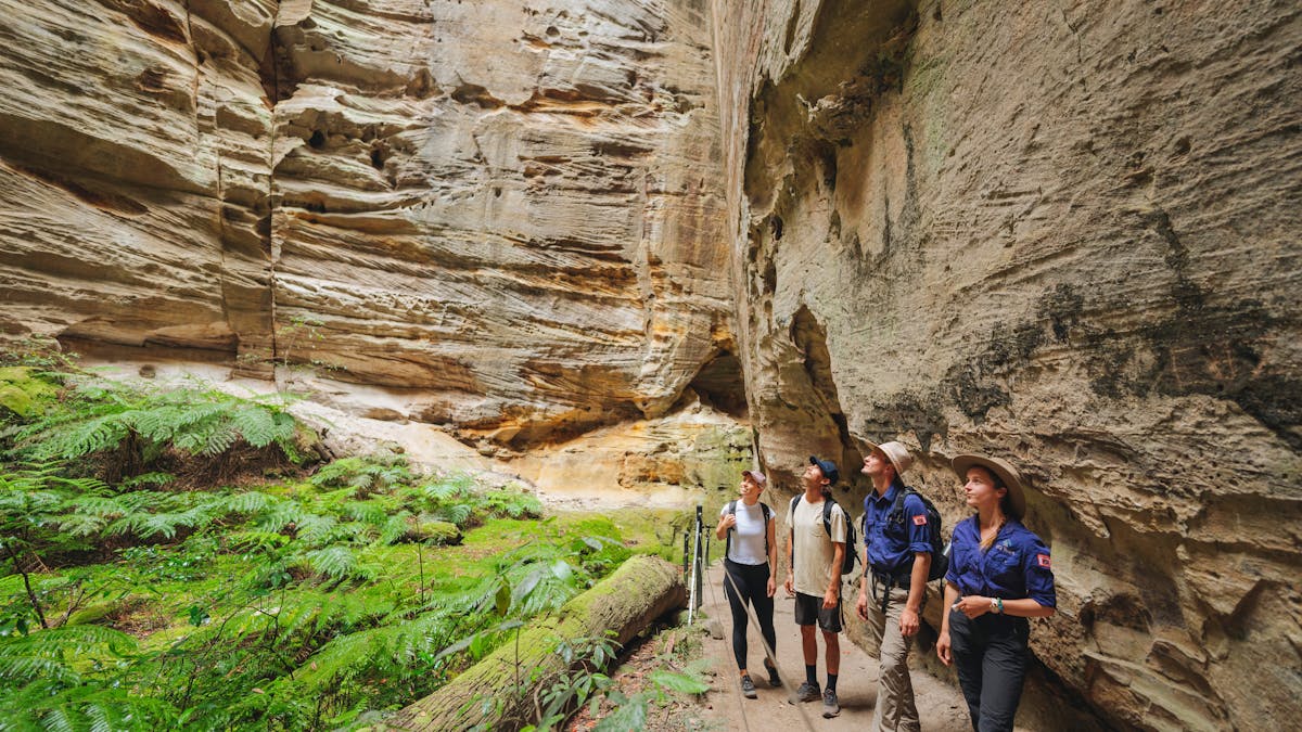 Amphitheatre in the Carnarvon Gorge Section of Carnarvon National Park