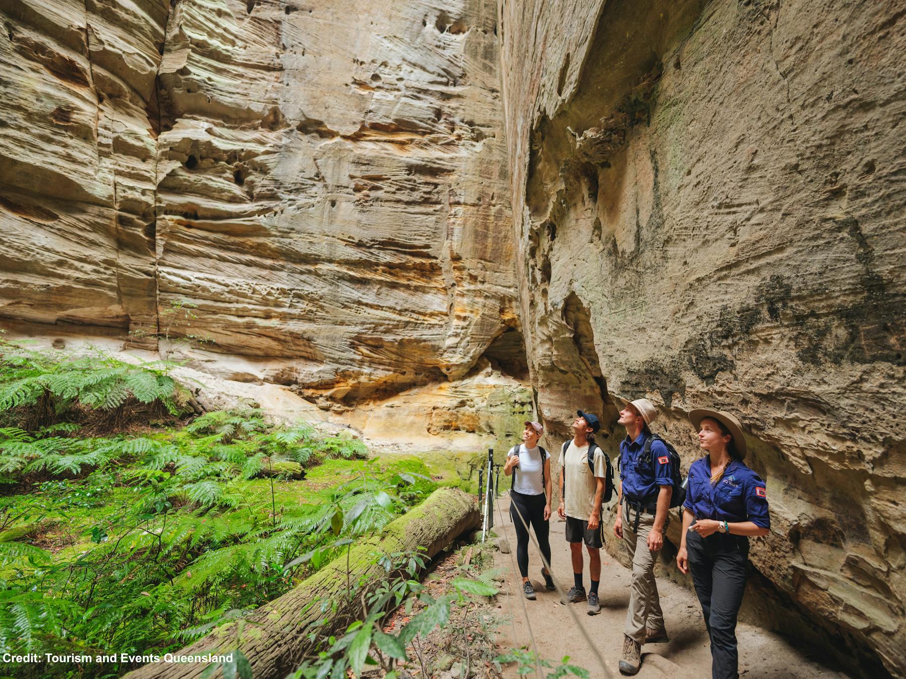 Amphitheatre in the Carnarvon Gorge Section of Carnarvon National Park