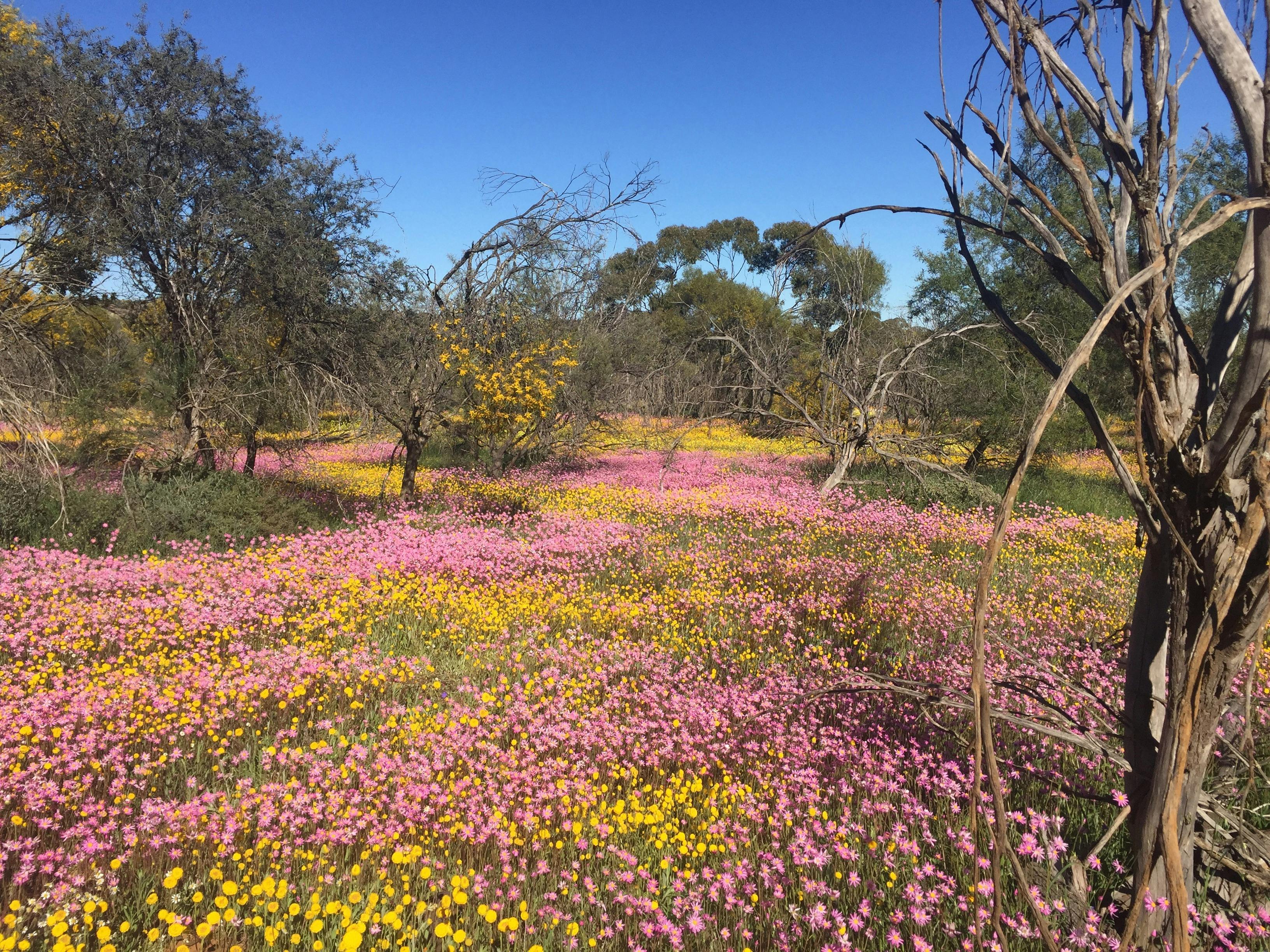 Luxury Outback Tours, Perth, Western Australia